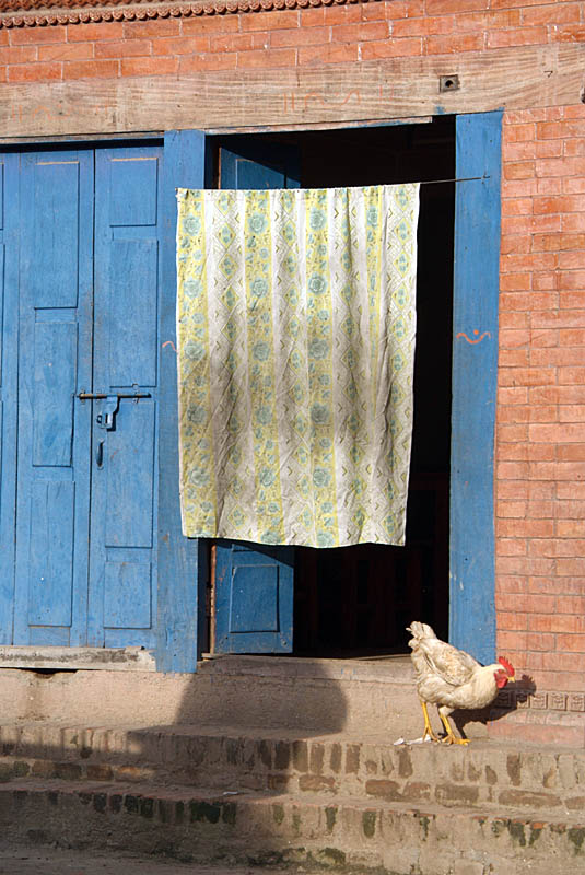 Chicken in a Doorway Bhaktapur 02