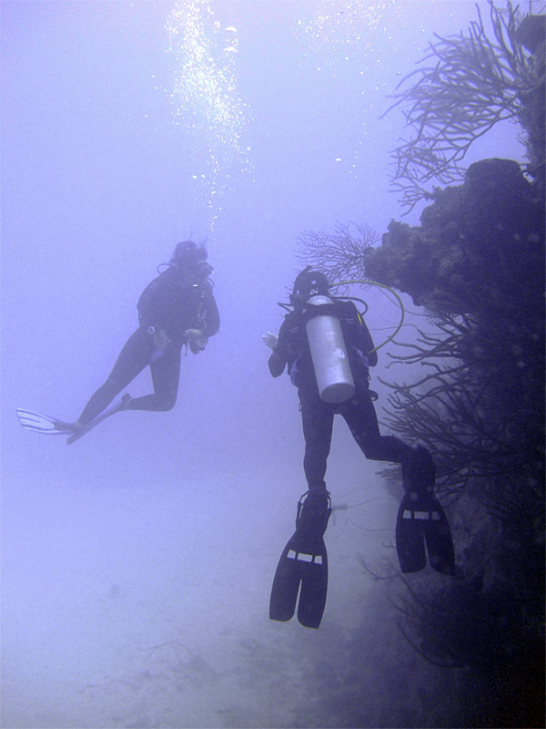 Divers on a Wall at Cathedral