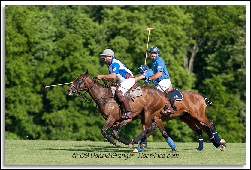 Polo 06-13-09_55.jpg