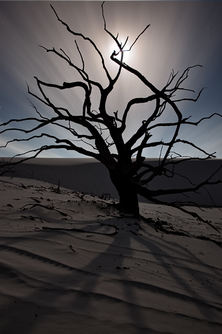 moon light