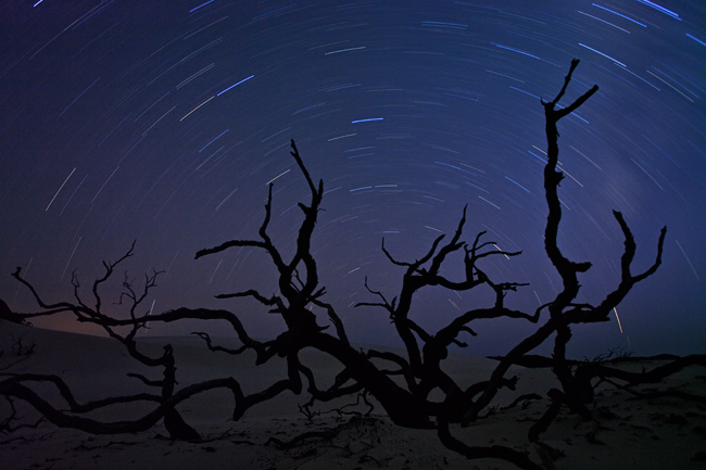 star trails