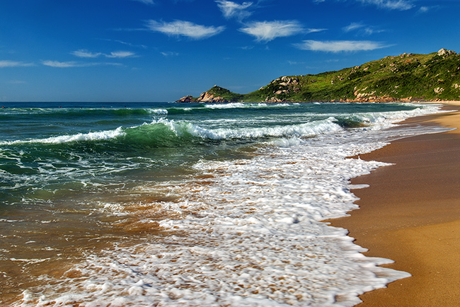 mole-beach3.jpg
