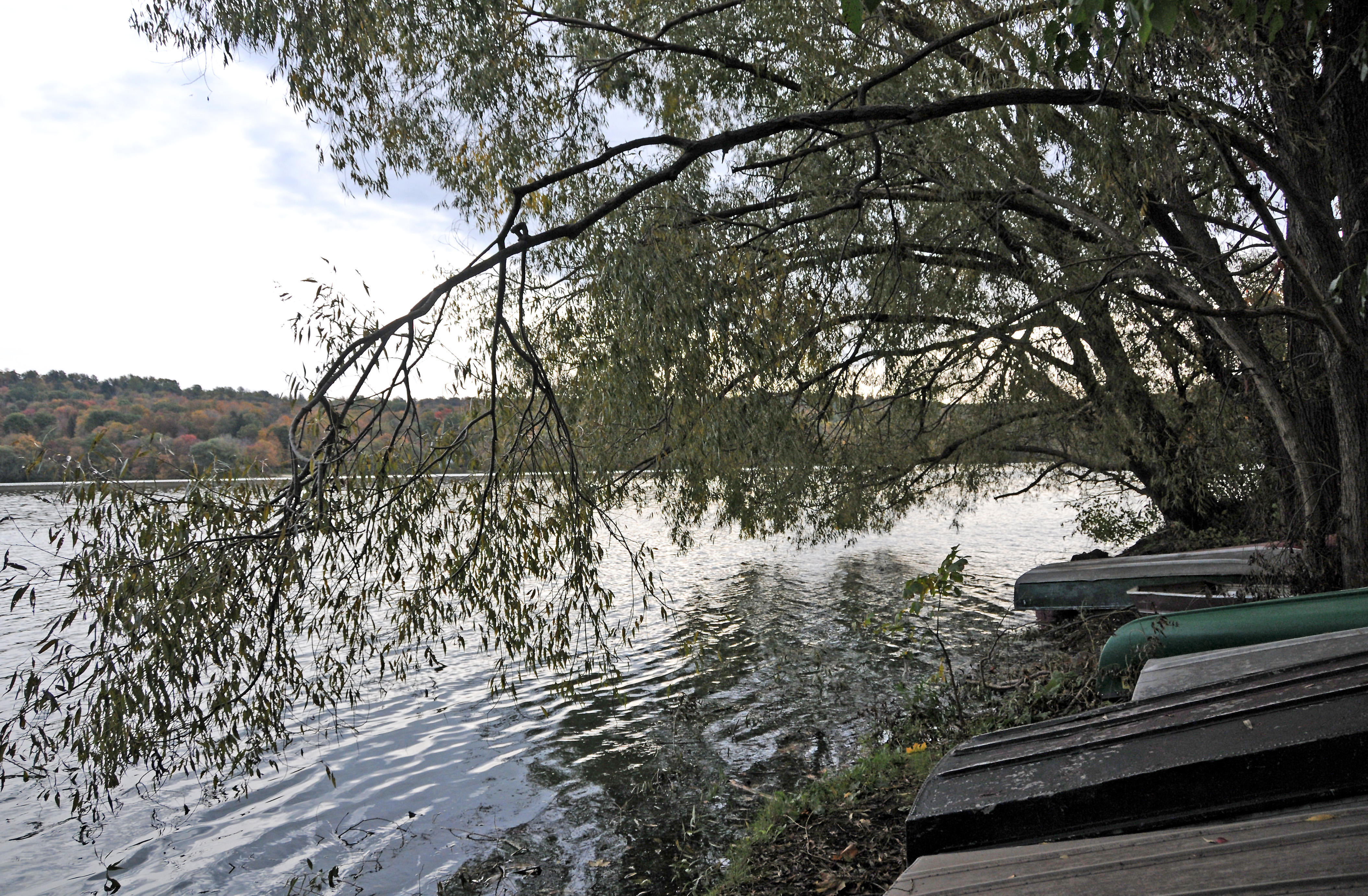 DSC_6989.JPG