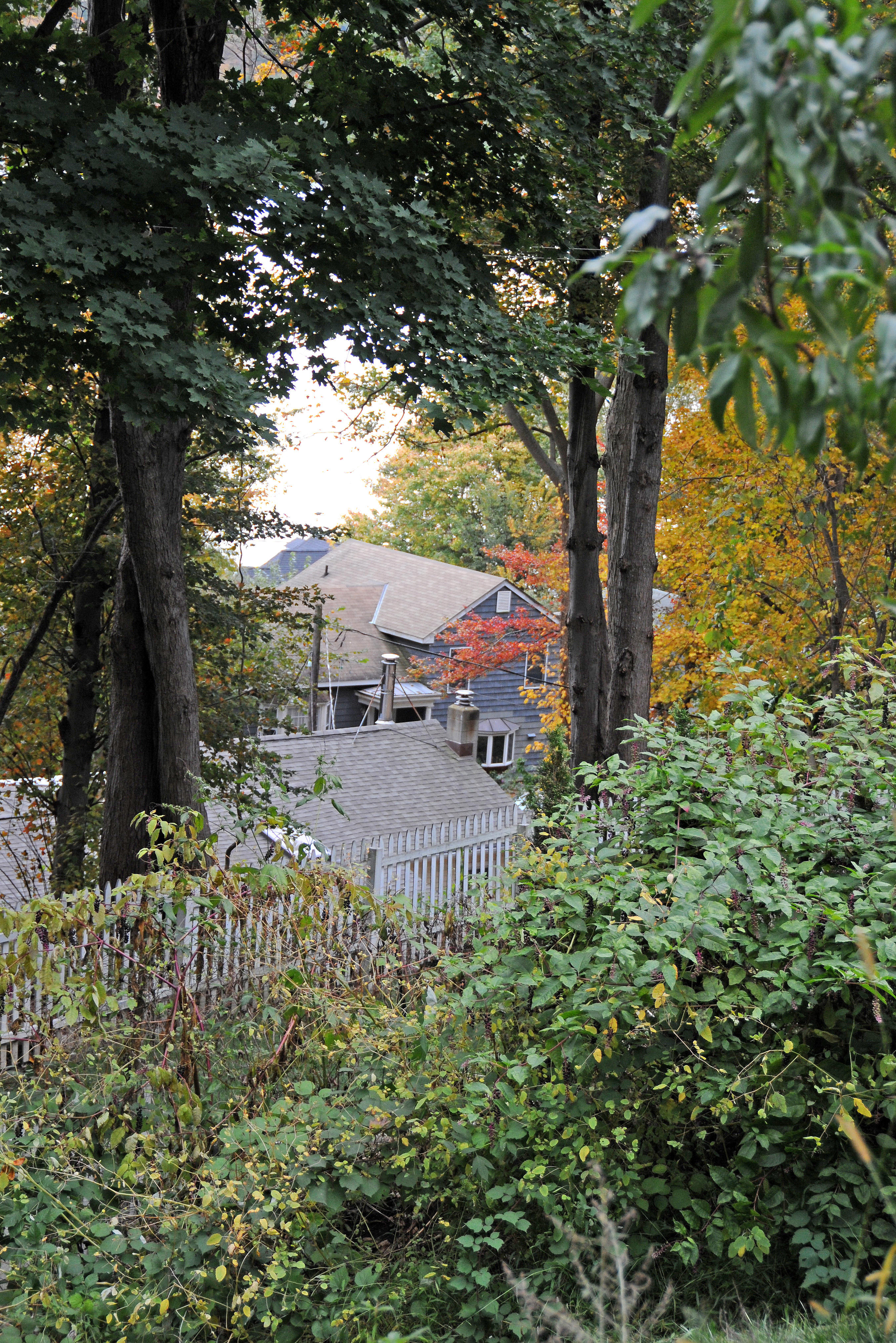 DSC_6996.JPG