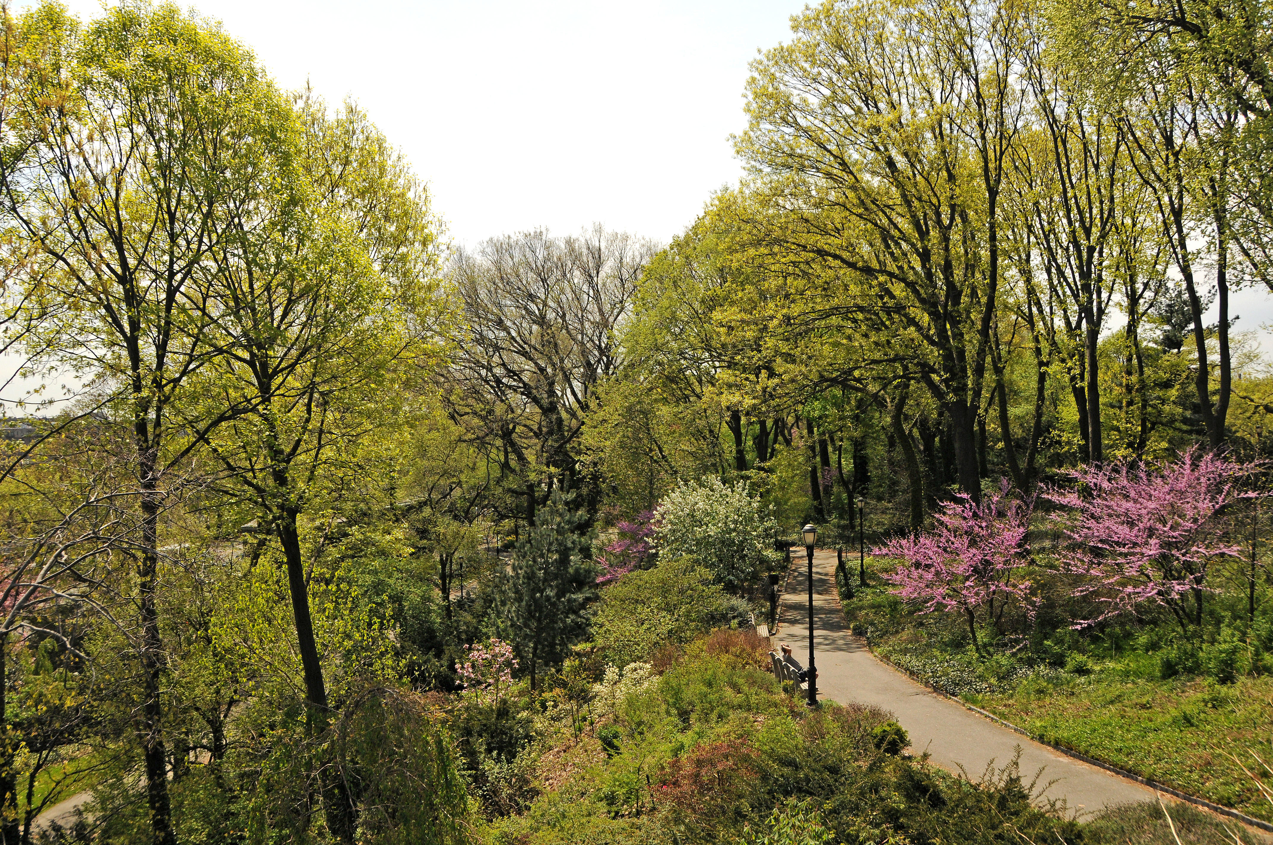 DSC_8293.JPG