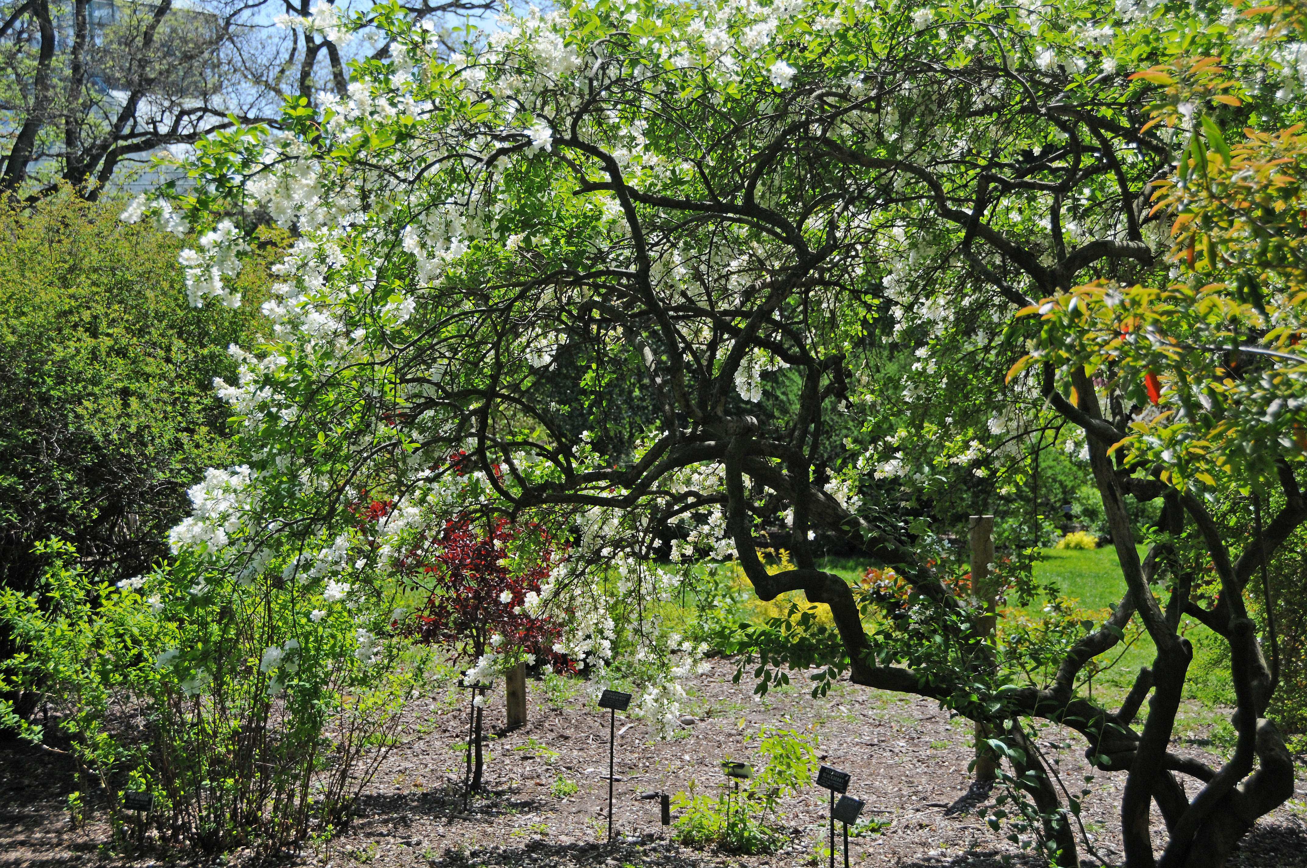 DSC_8830.JPG