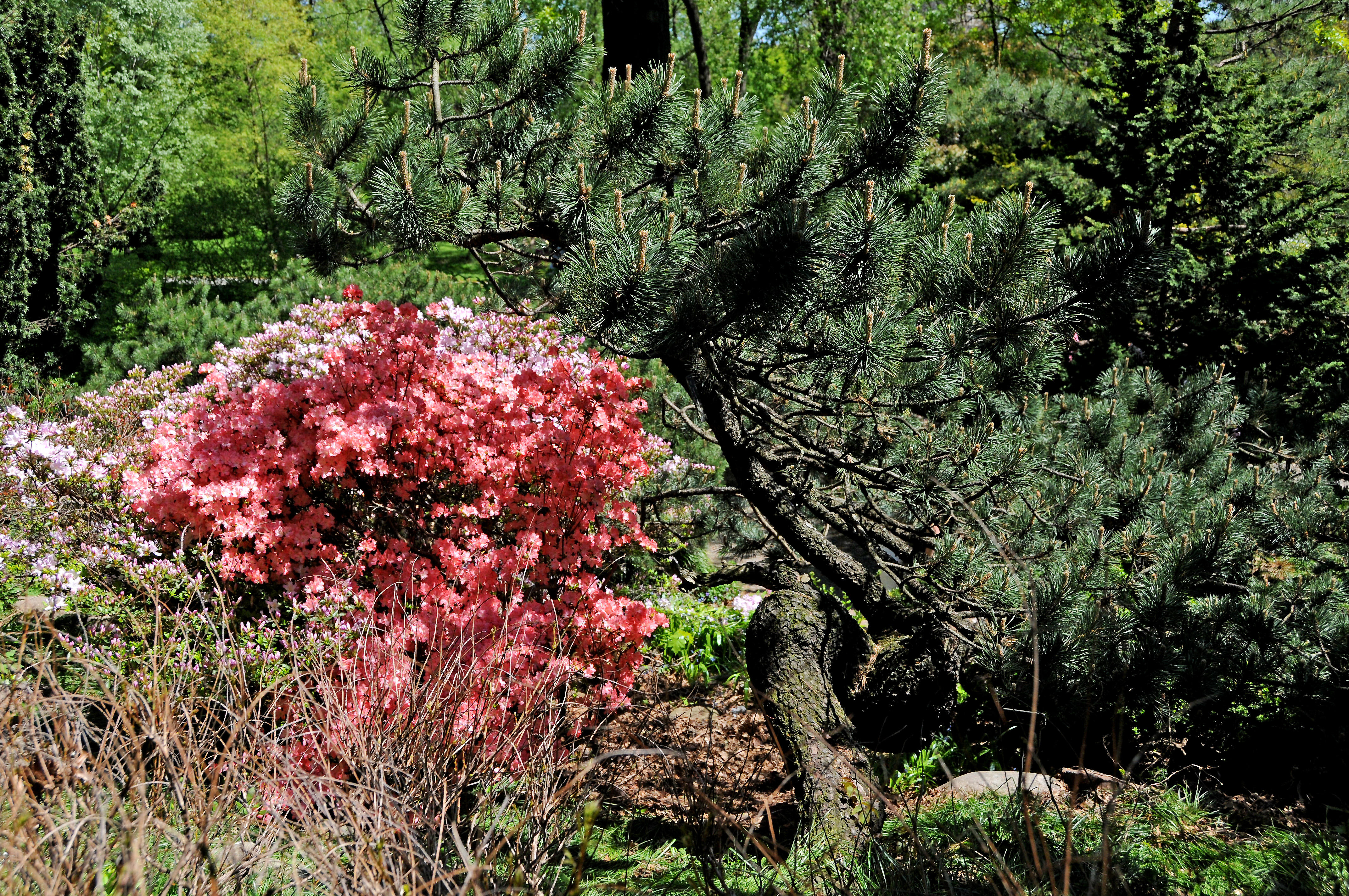 DSC_8848.JPG