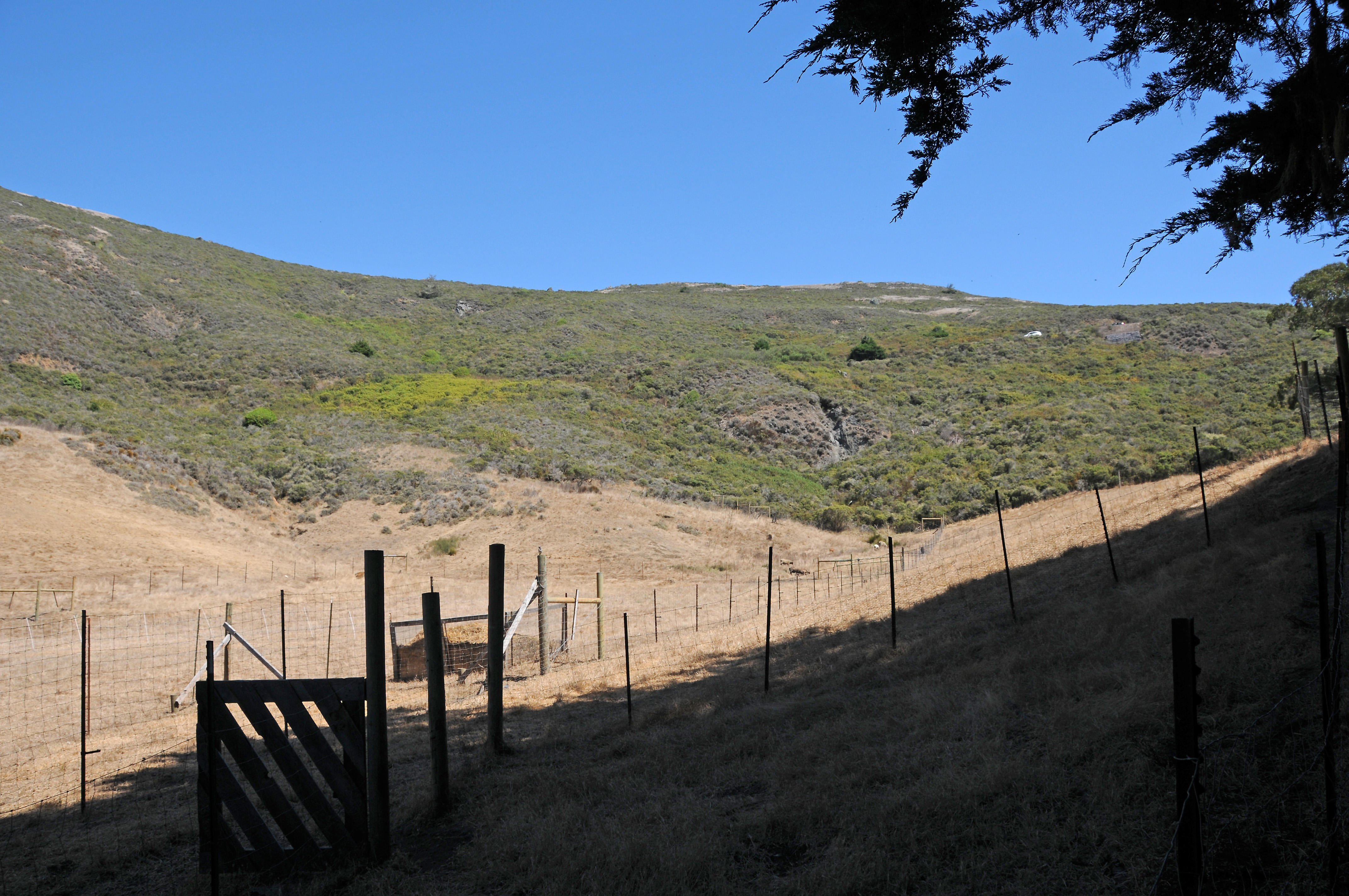 Slide Ranch, CA photo Hubert Steed photos at