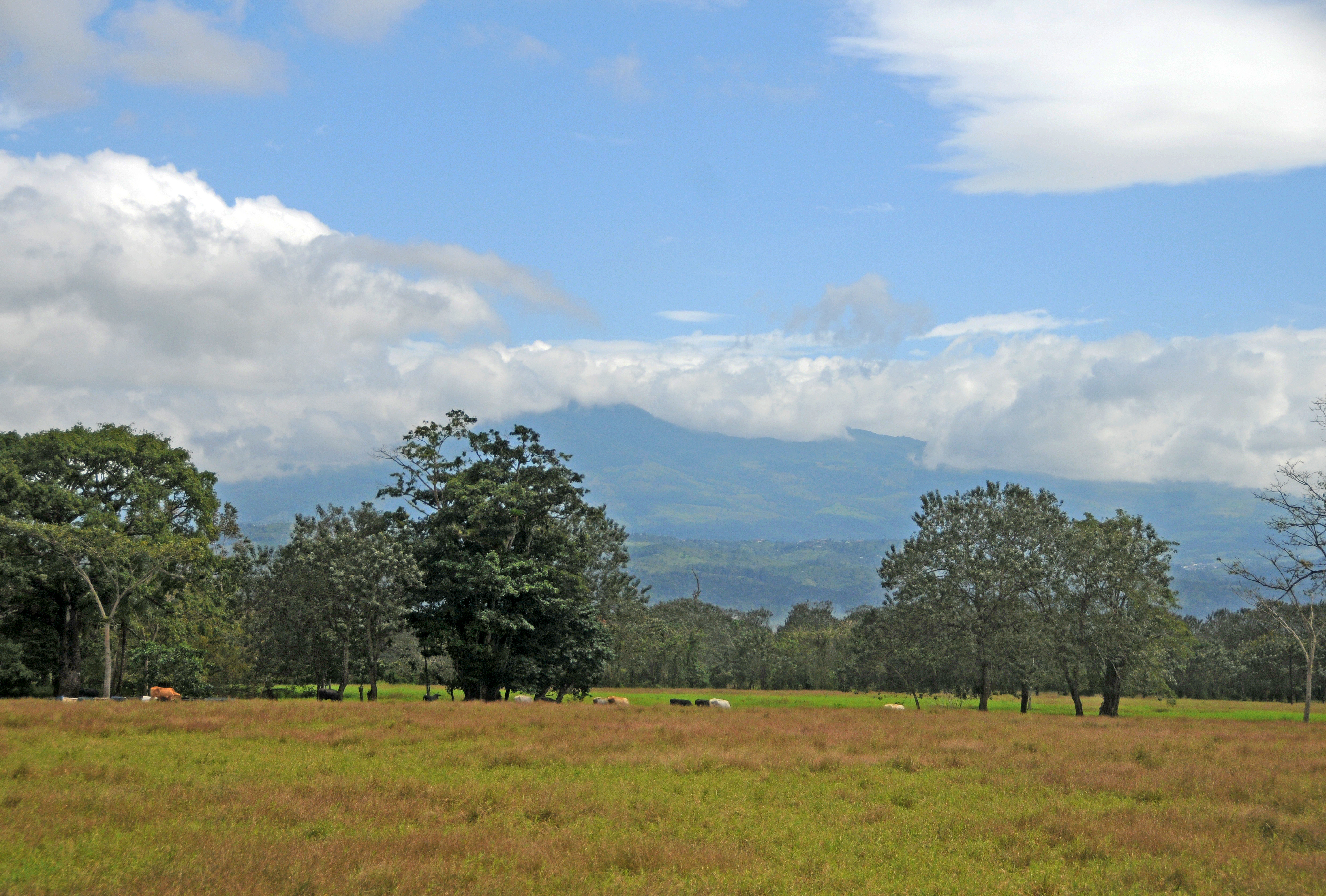 Arenal Vocano Area - Costa Rica