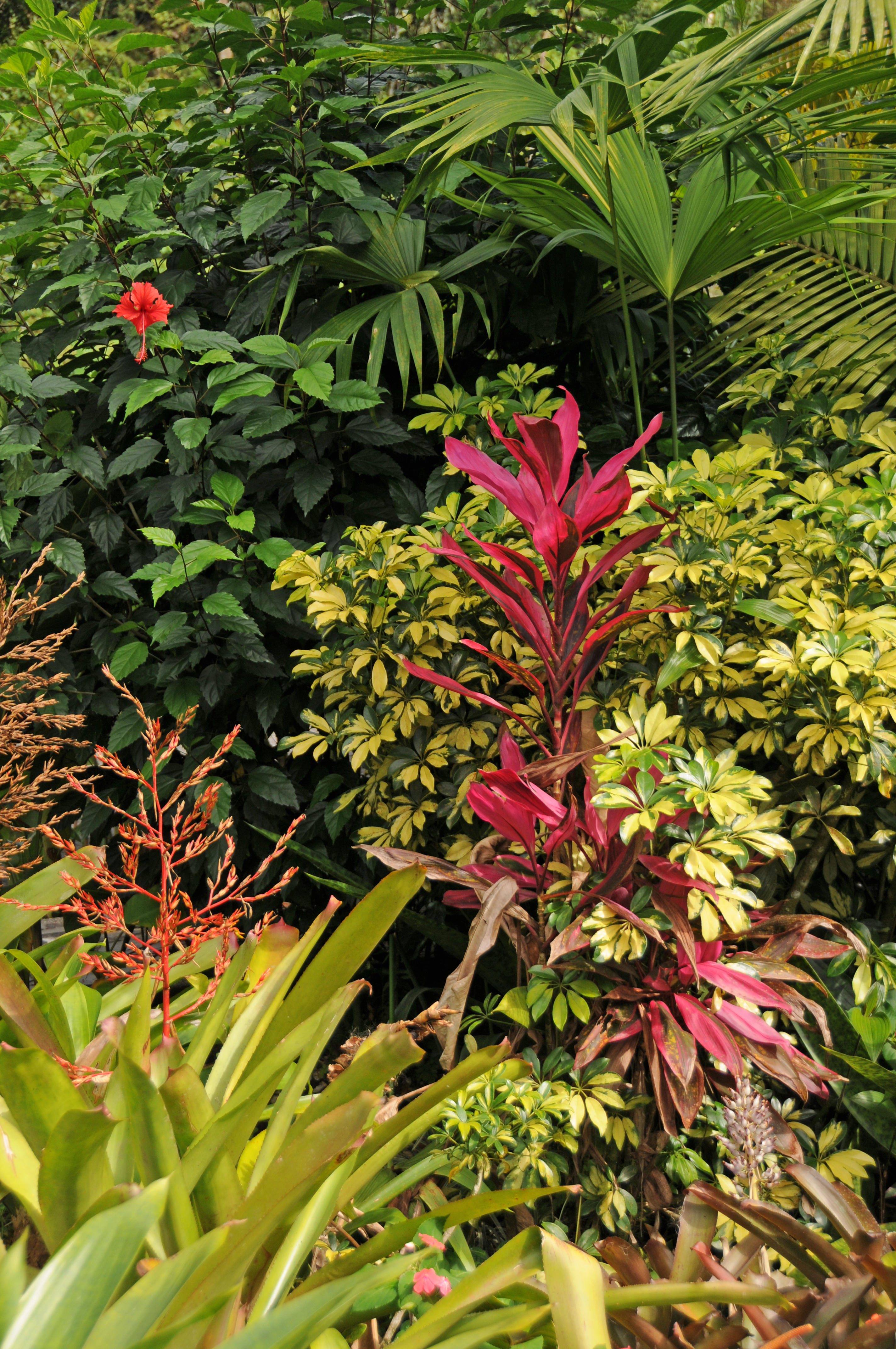 Tabacon Hot Springs - Arenal Vocano