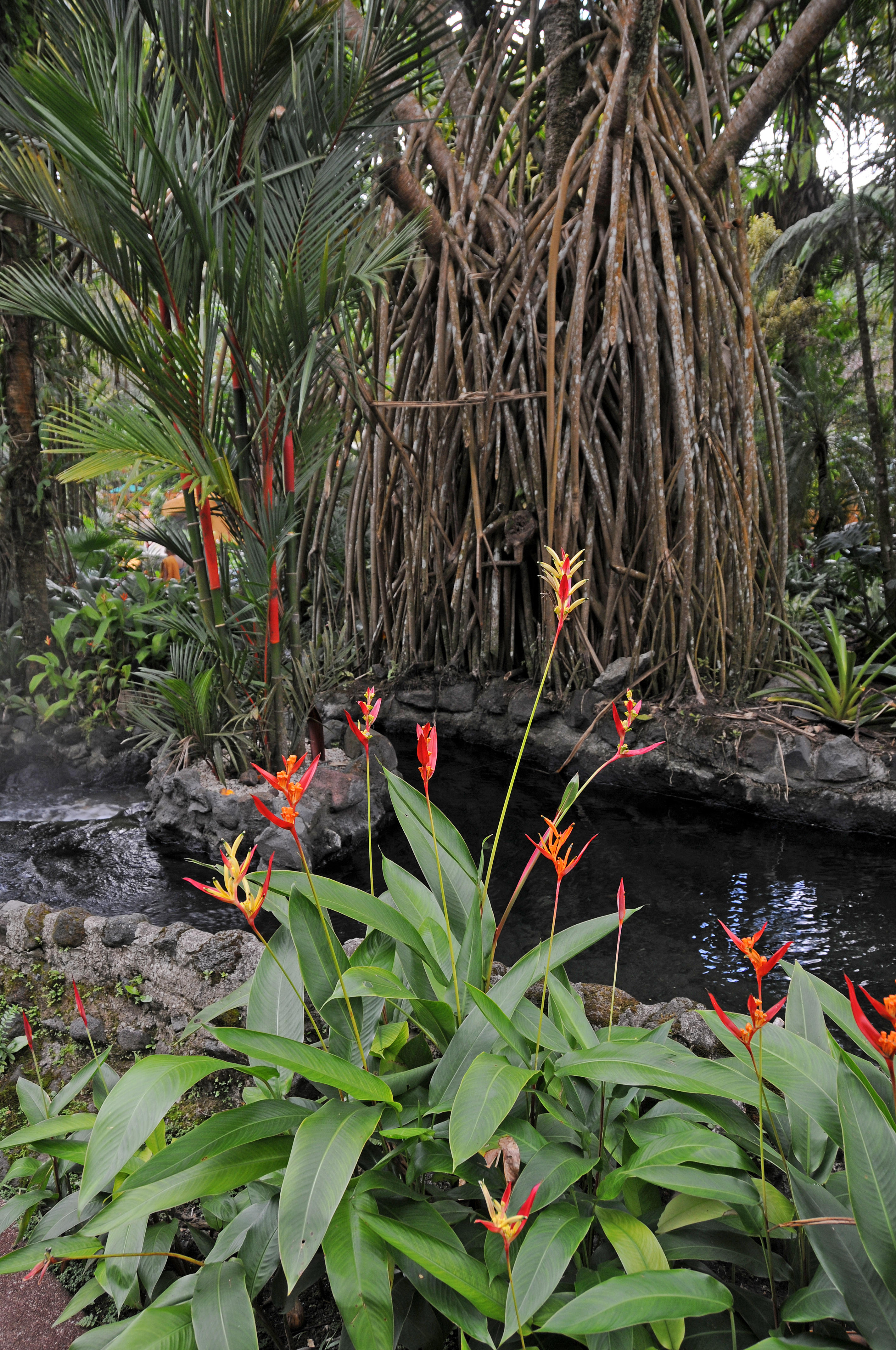 Tabacon Hot Springs - Arenal Vocano