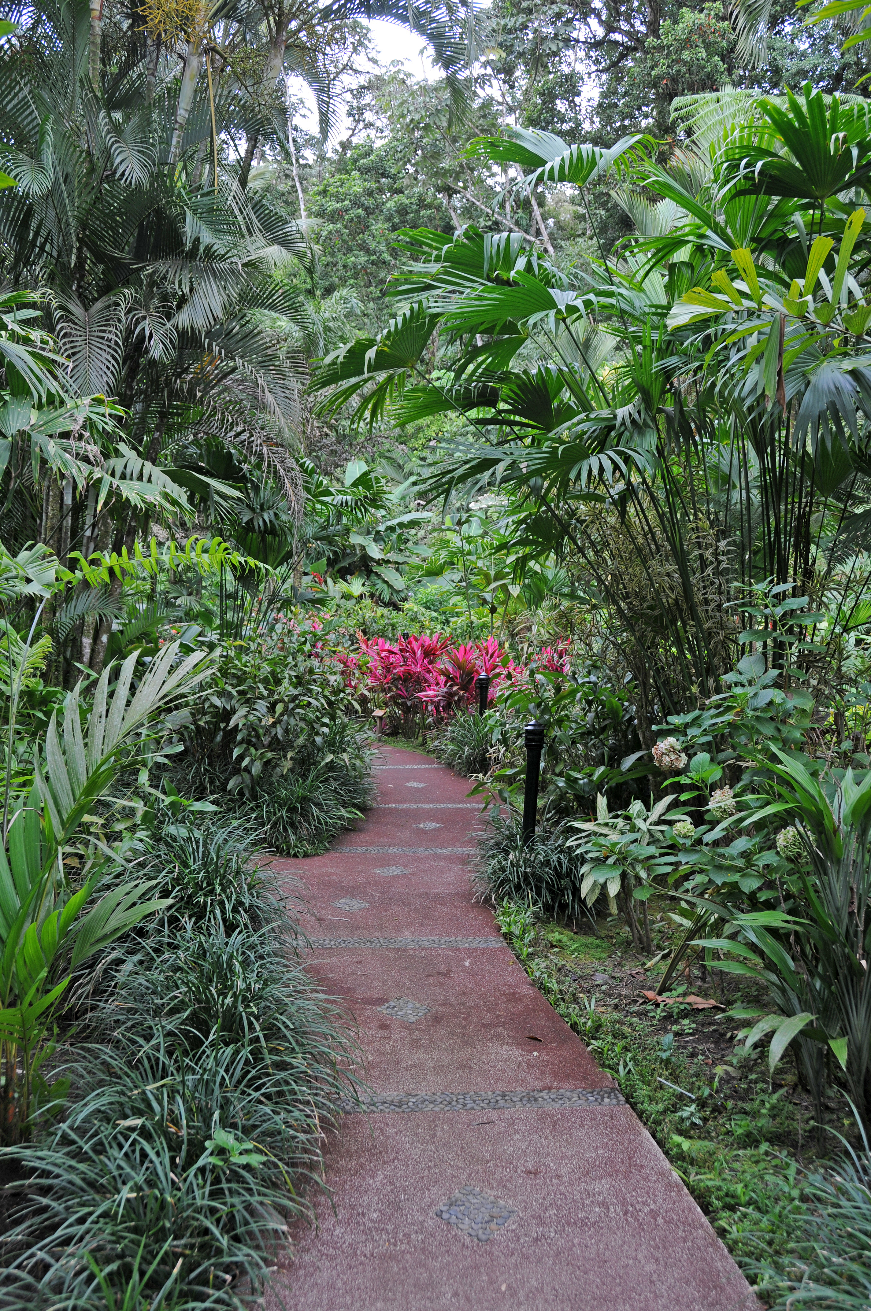 Tabacon Hot Springs - Arenal Vocano