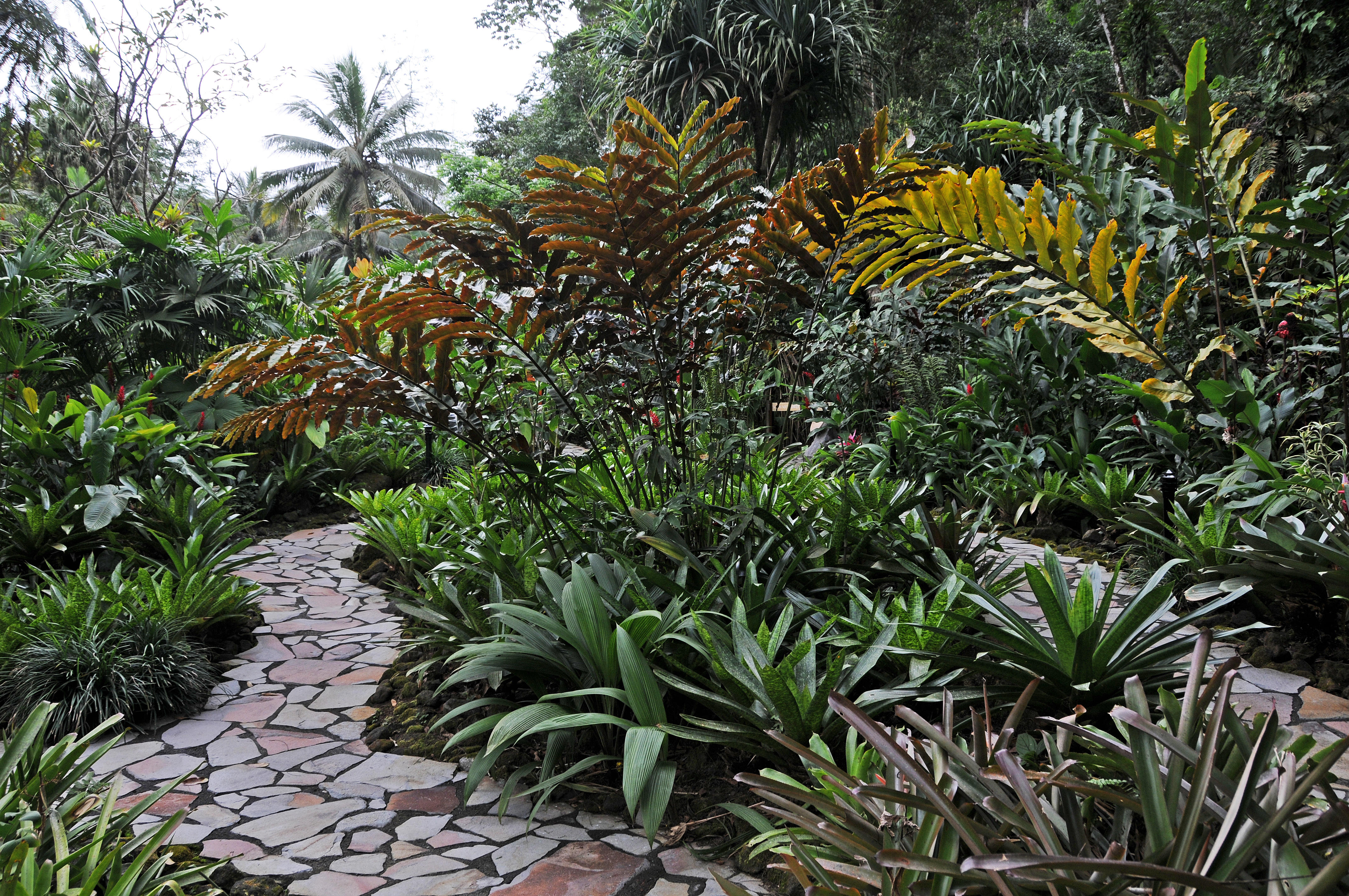 Tabacon Hot Springs - Arenal Vocano