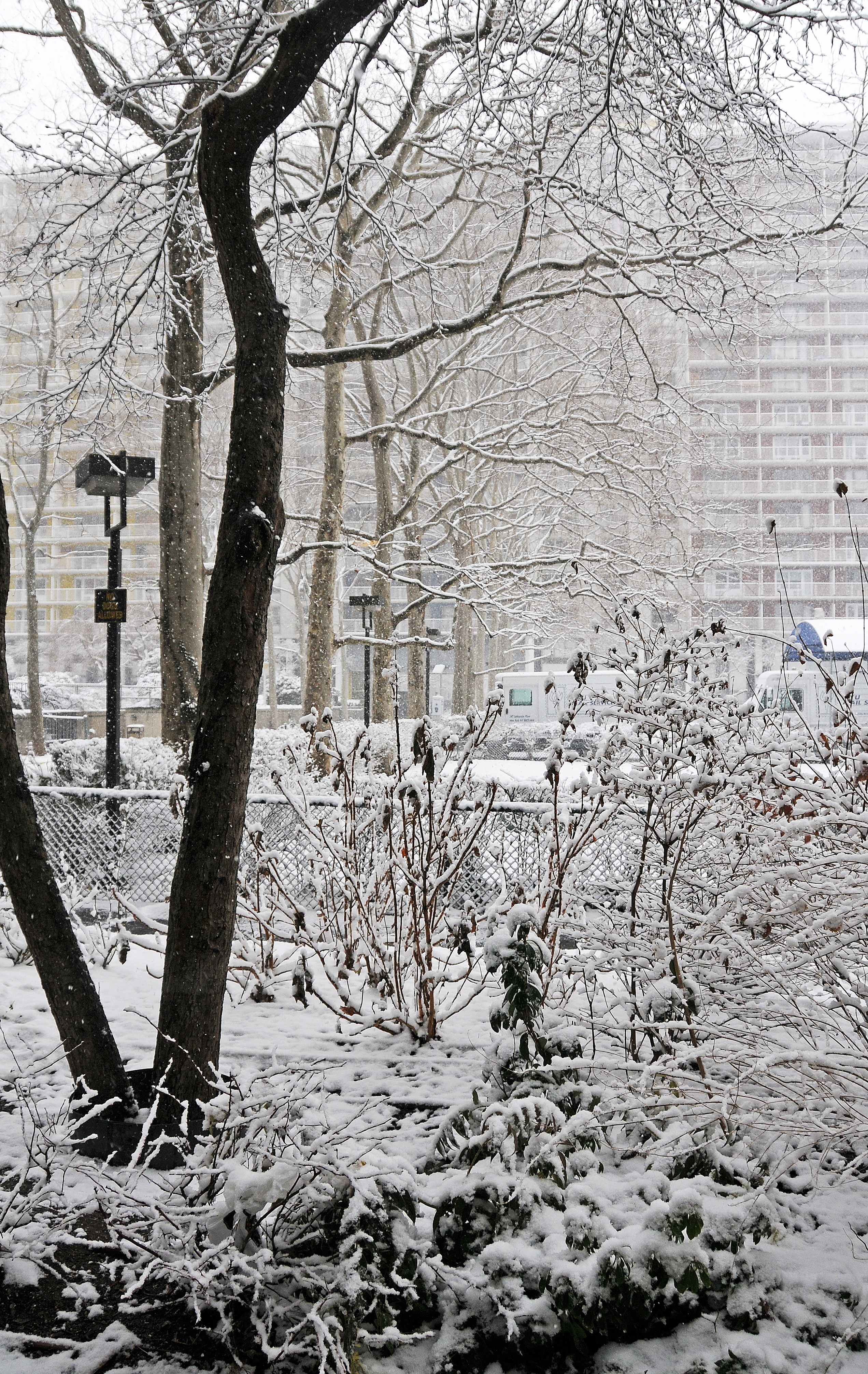 Snow Day