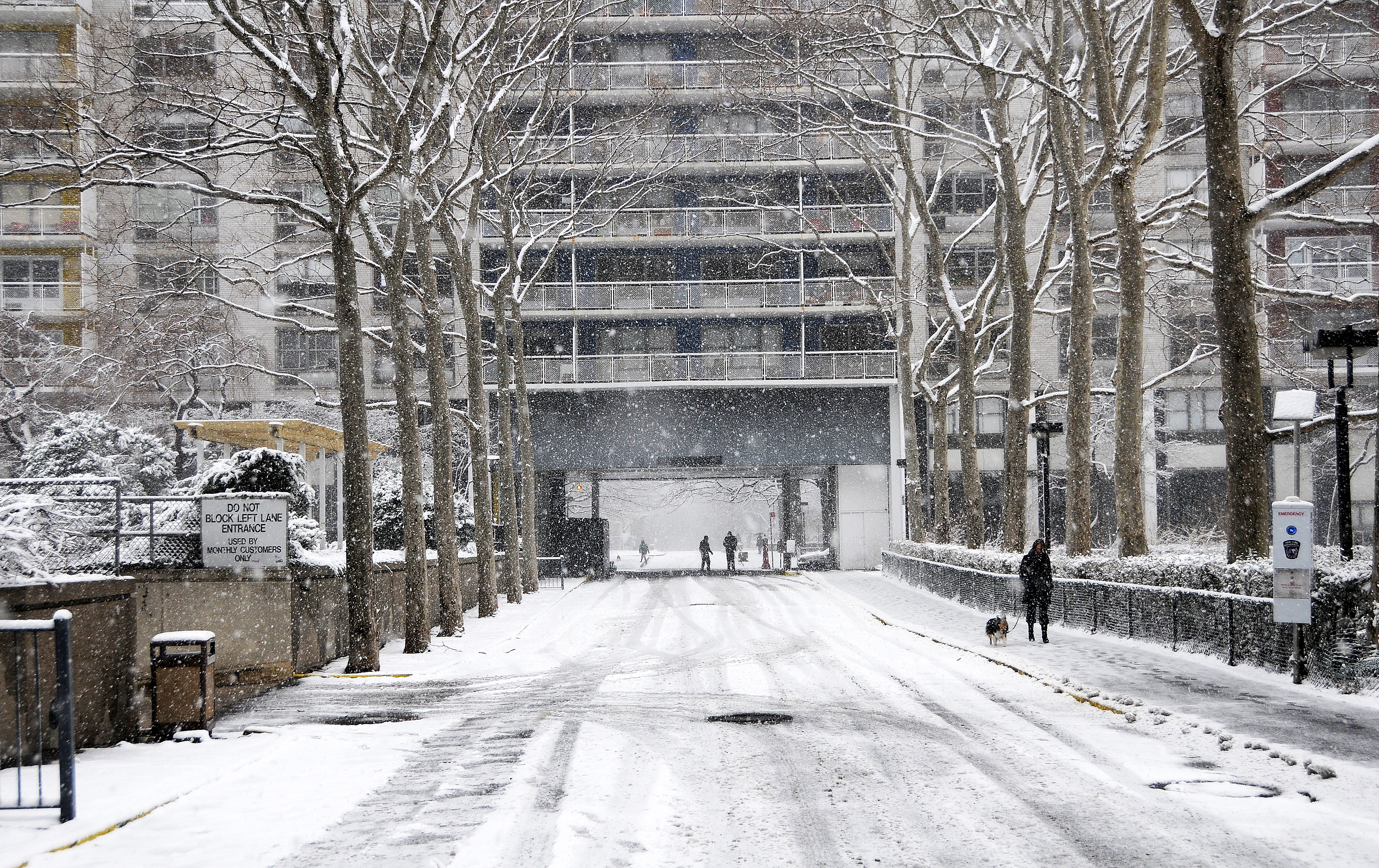 Snow Day