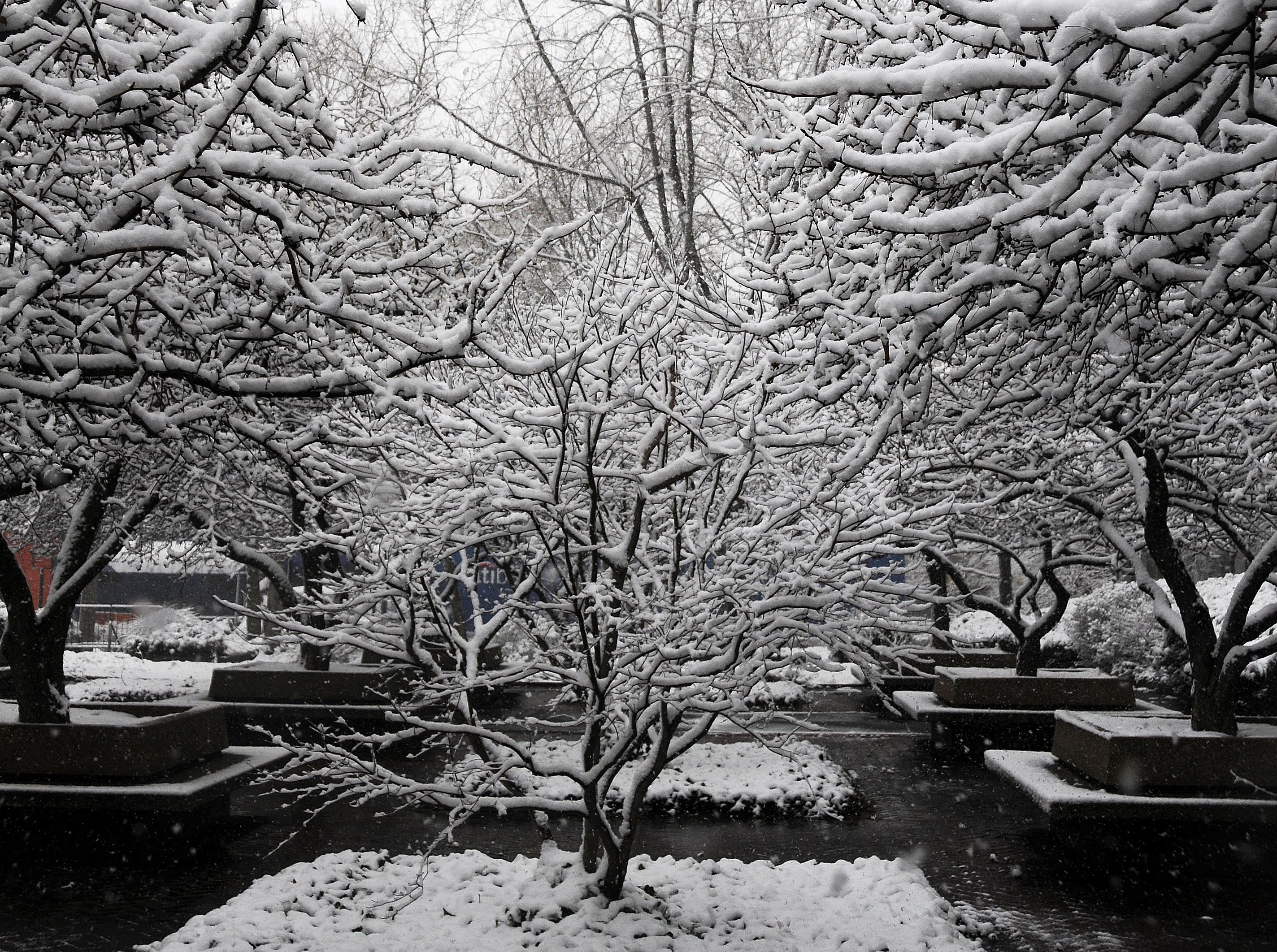 Snow Day