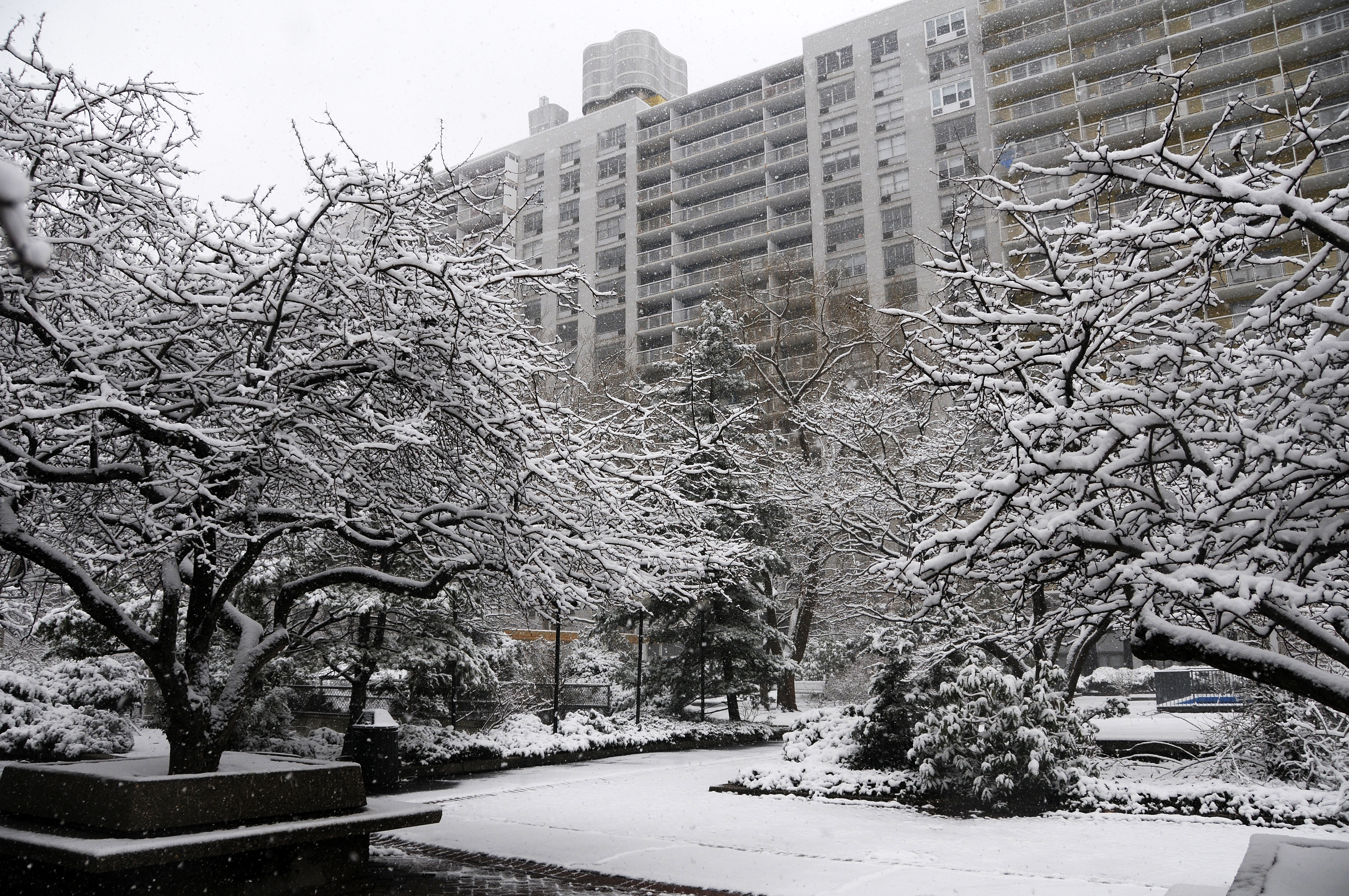 Snow Day