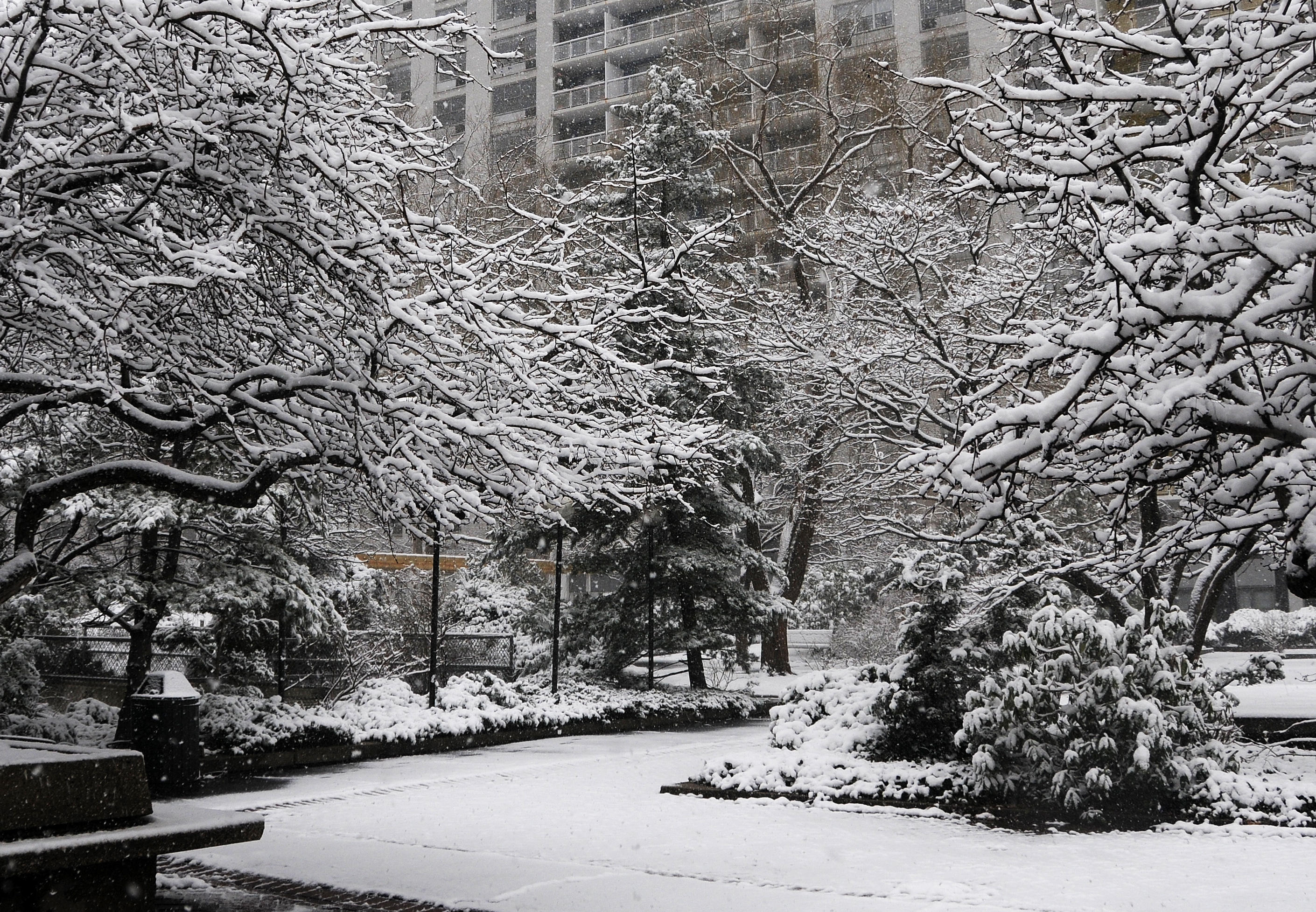 Snow Day