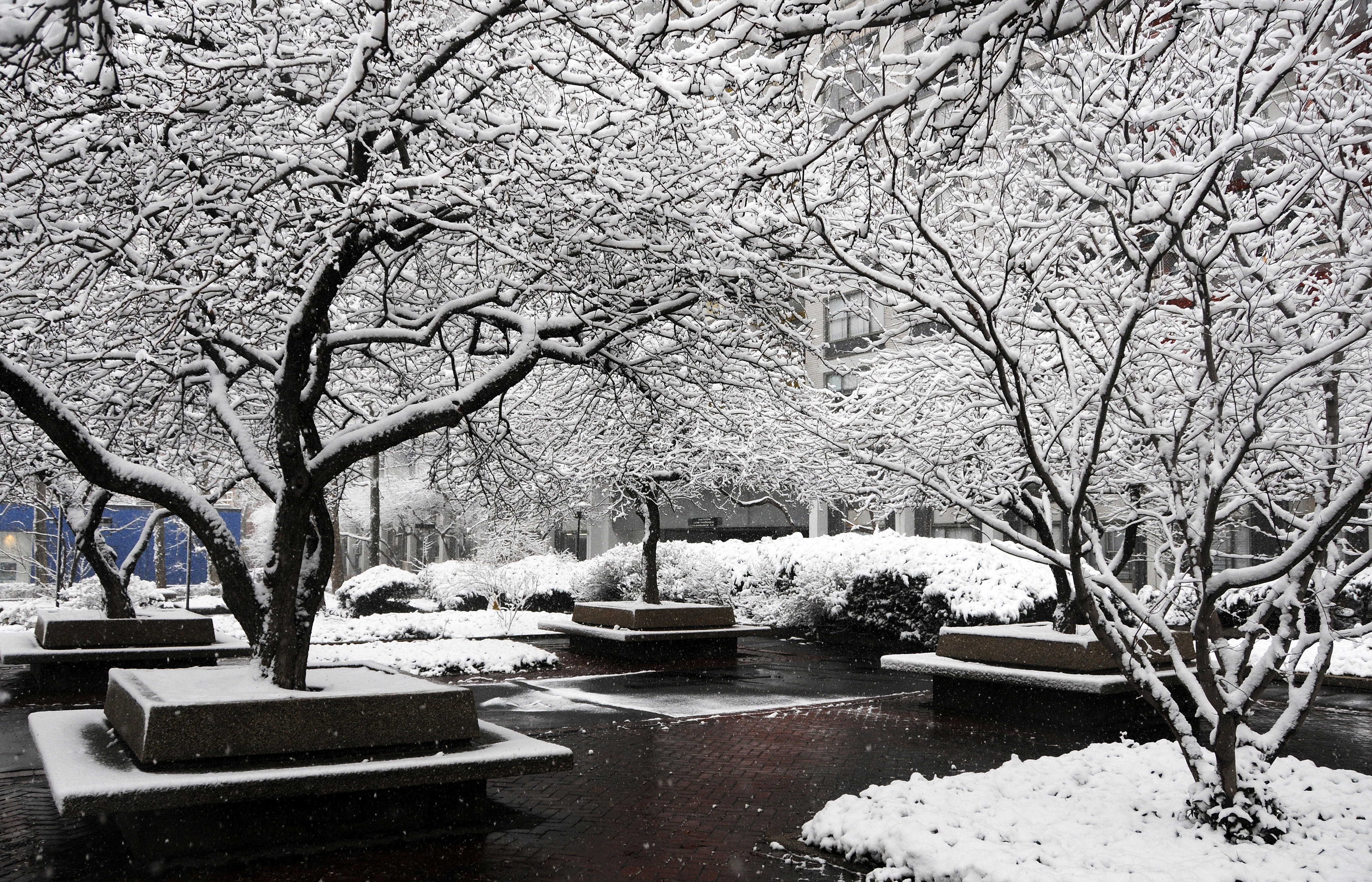 Snow Day