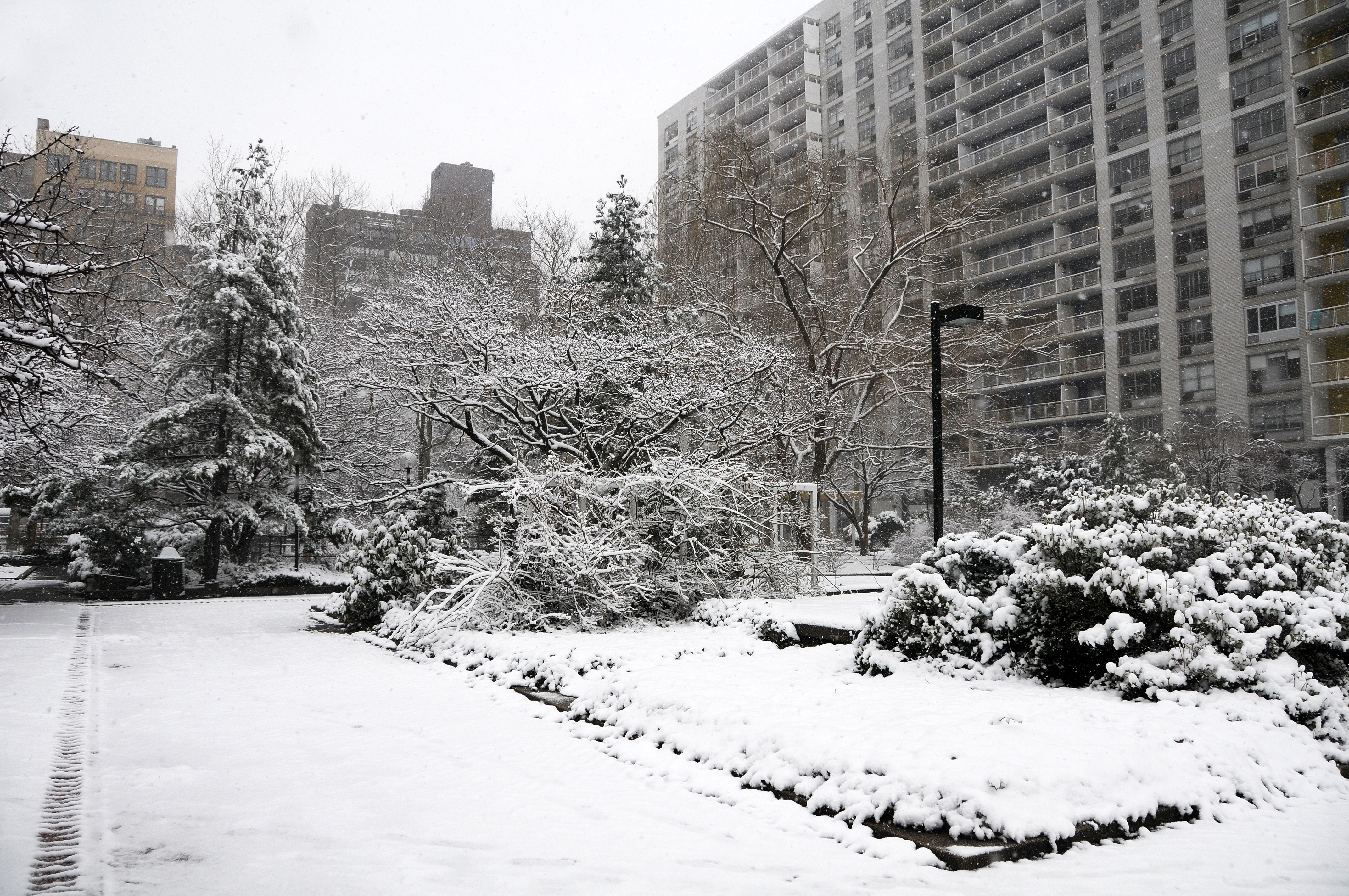 Snow Day