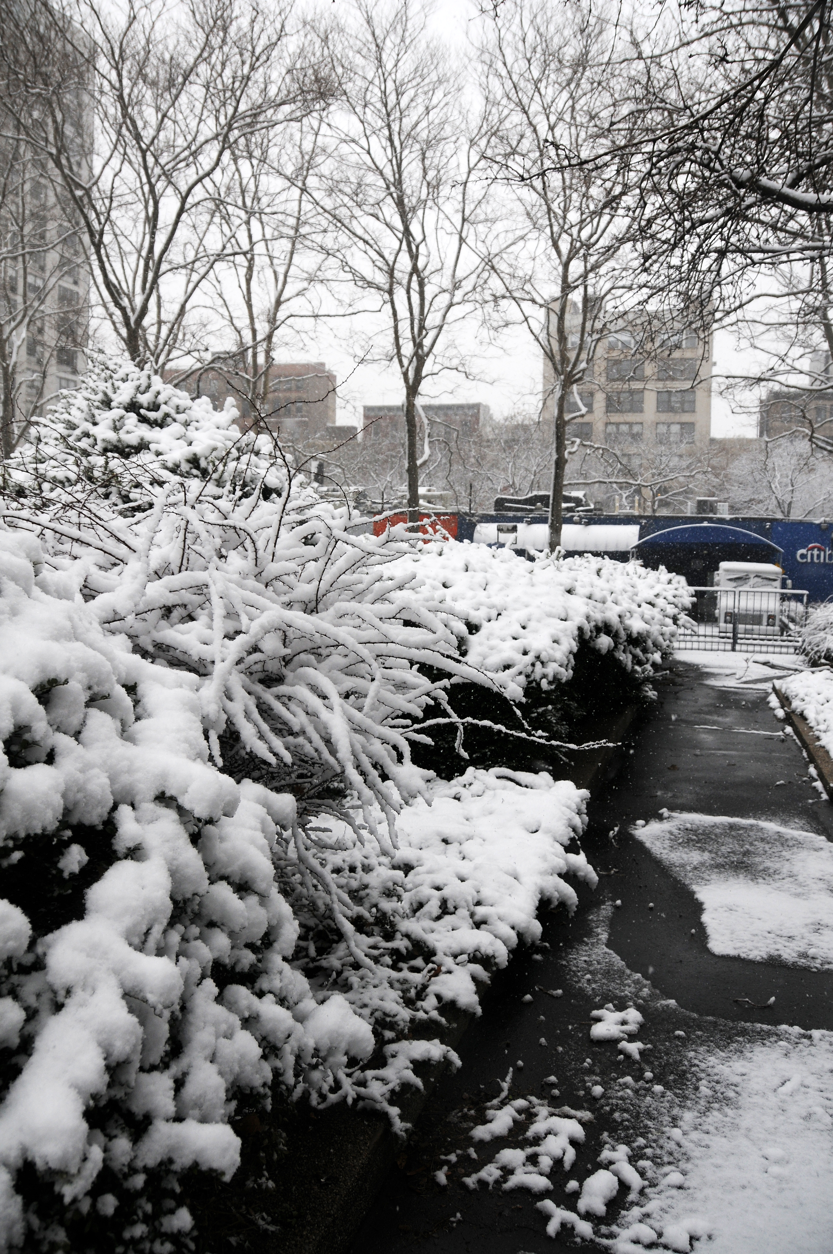 Snow Day