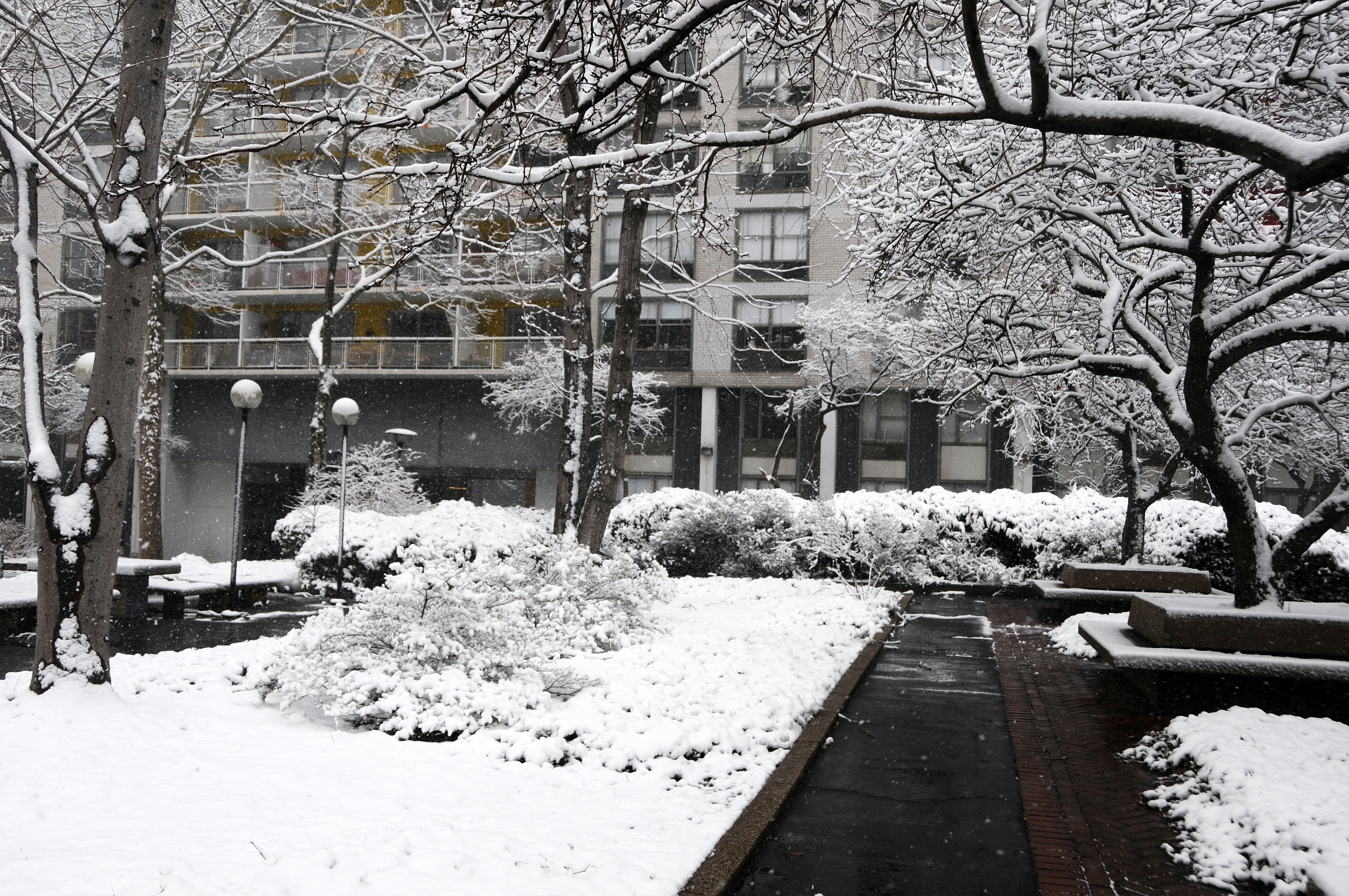 Snow Day
