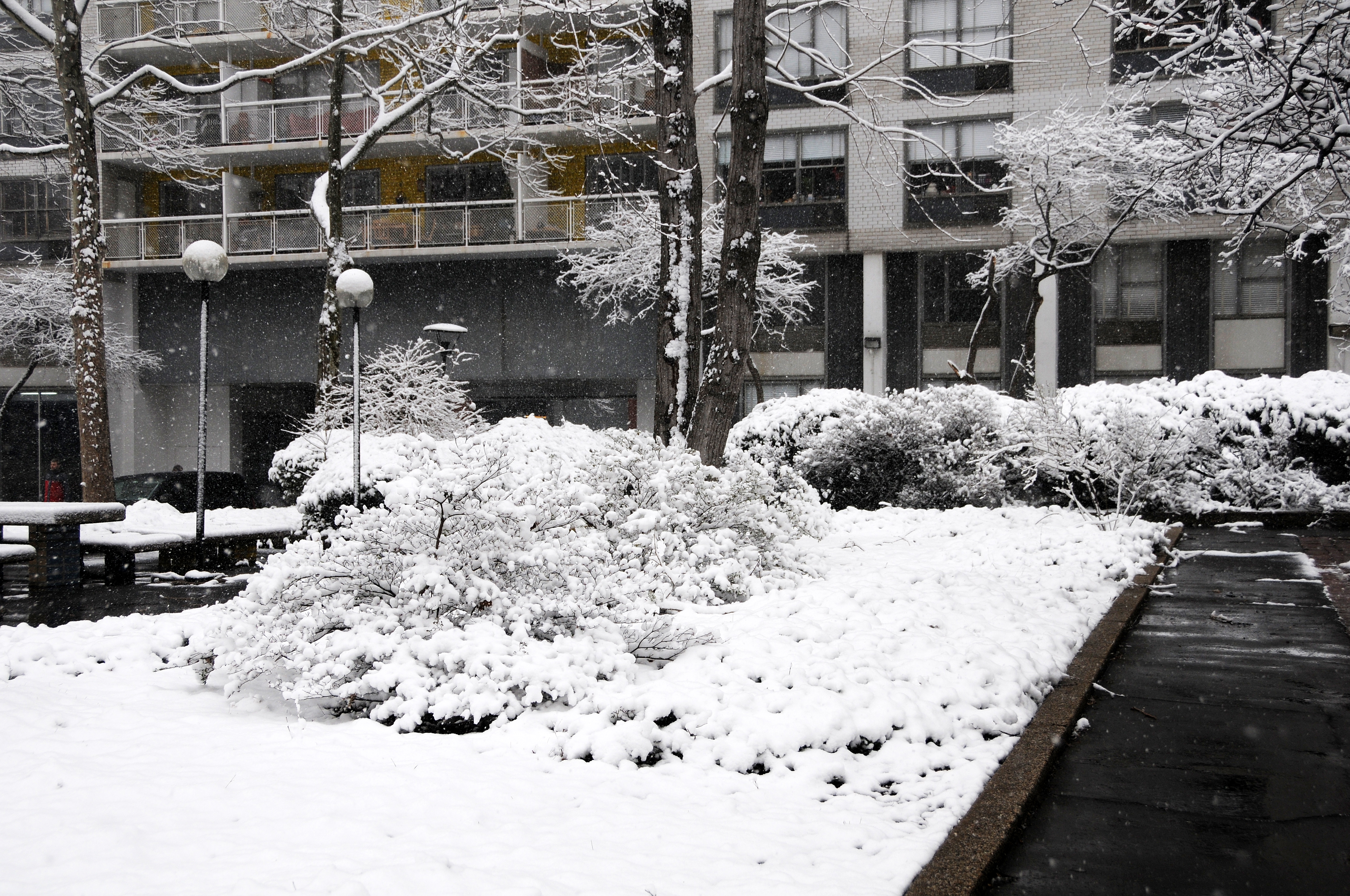 Snow Day