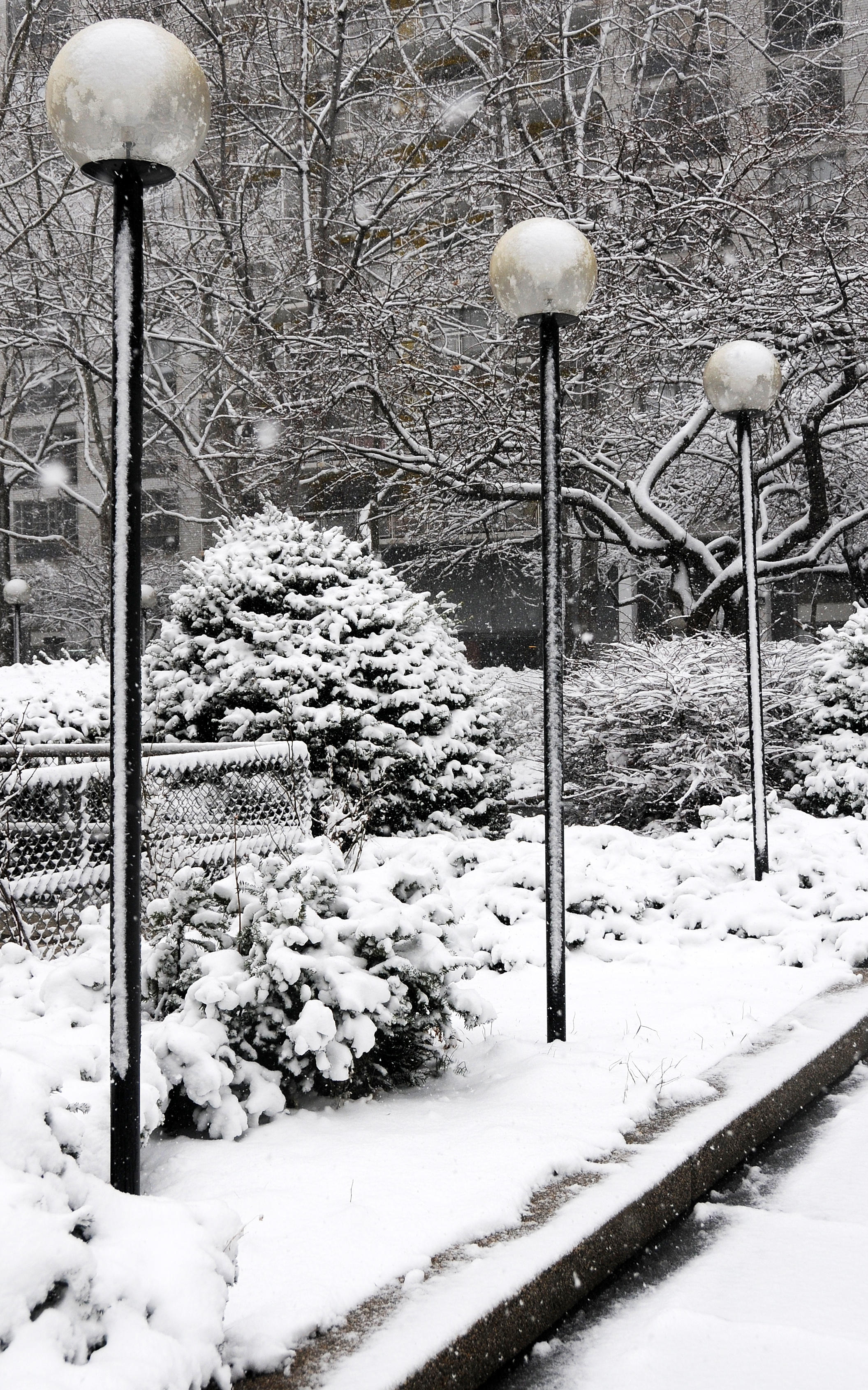 Snow Day