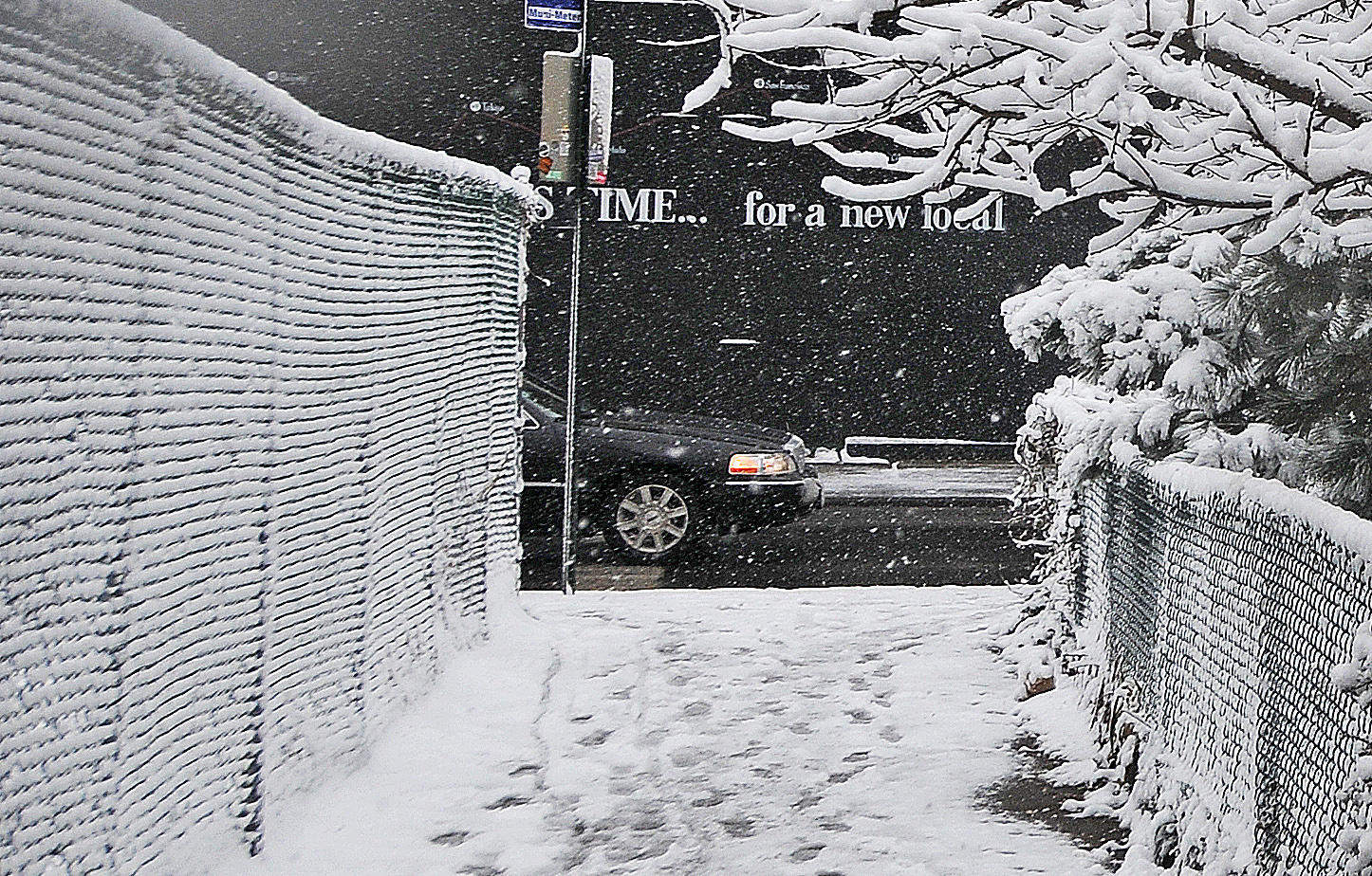 Snow Day