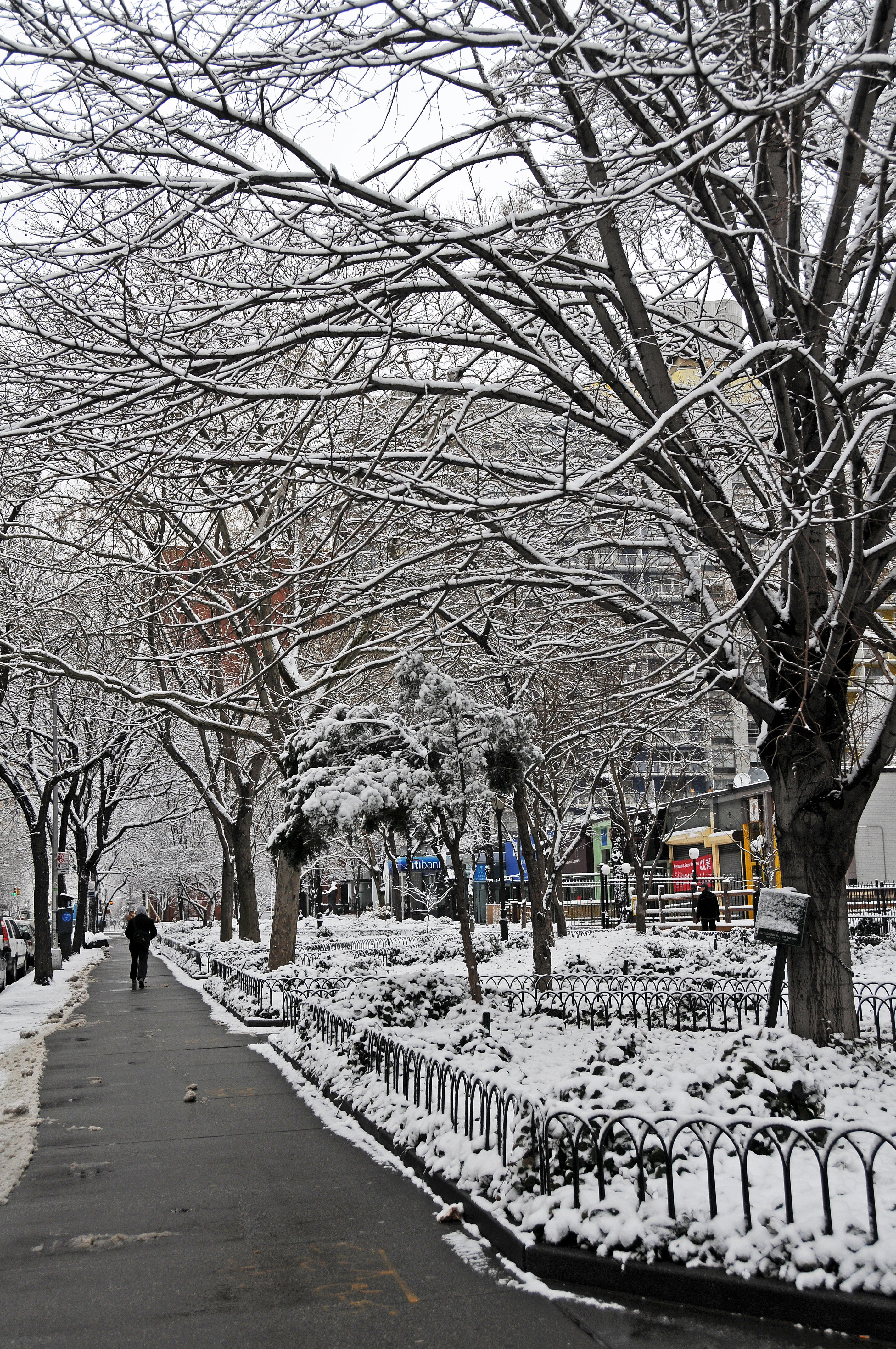 Snow Day - LaGuardia Place Garden