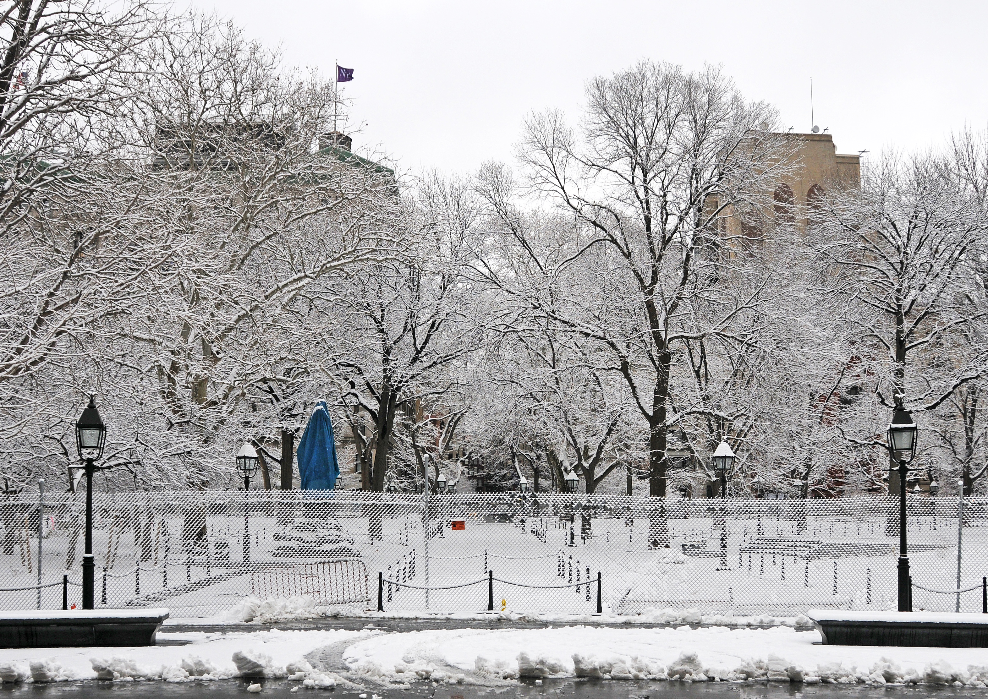 Snow Day