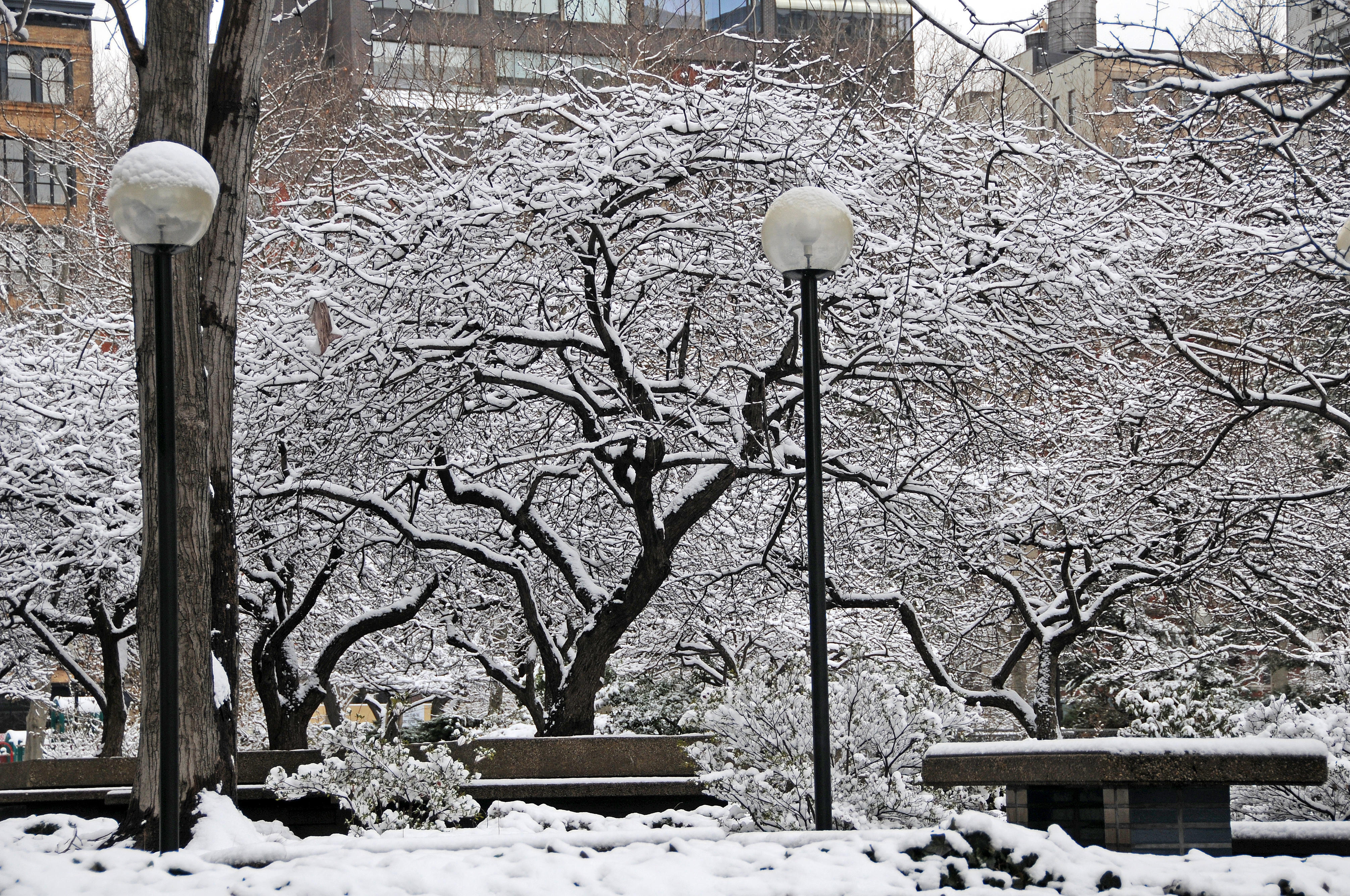 Snow Day
