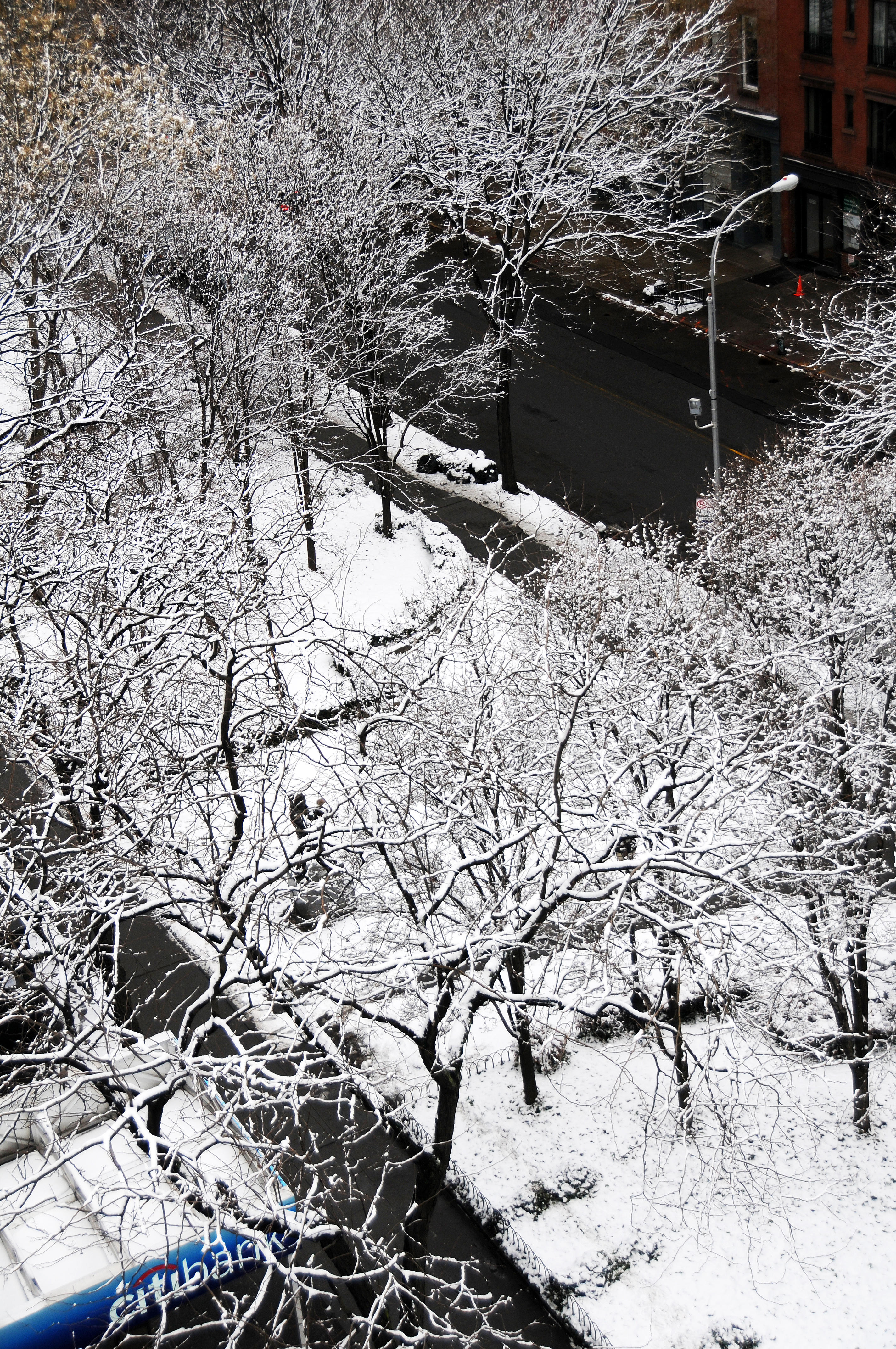 Snow Day