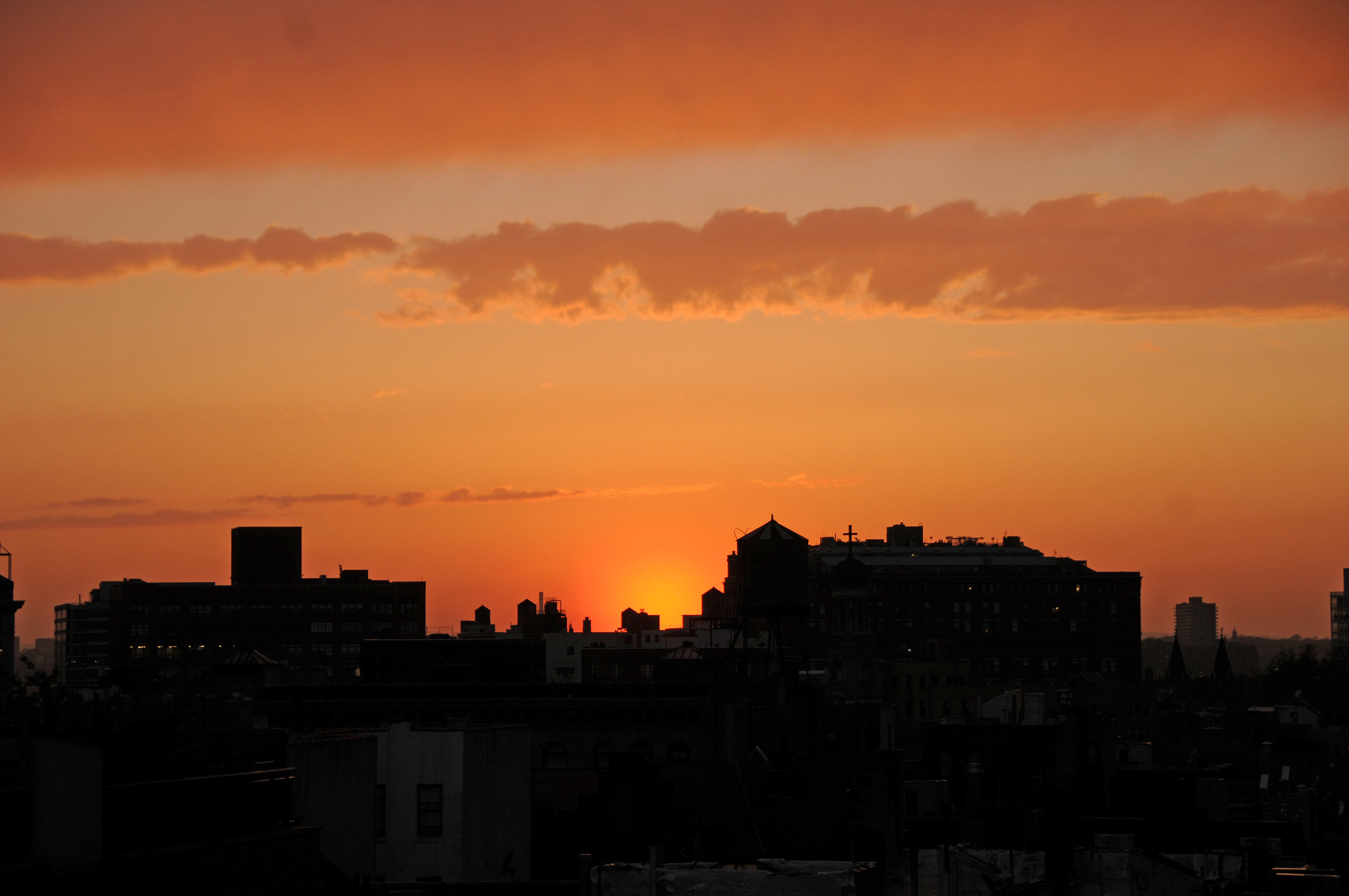 DSC_7264.JPG