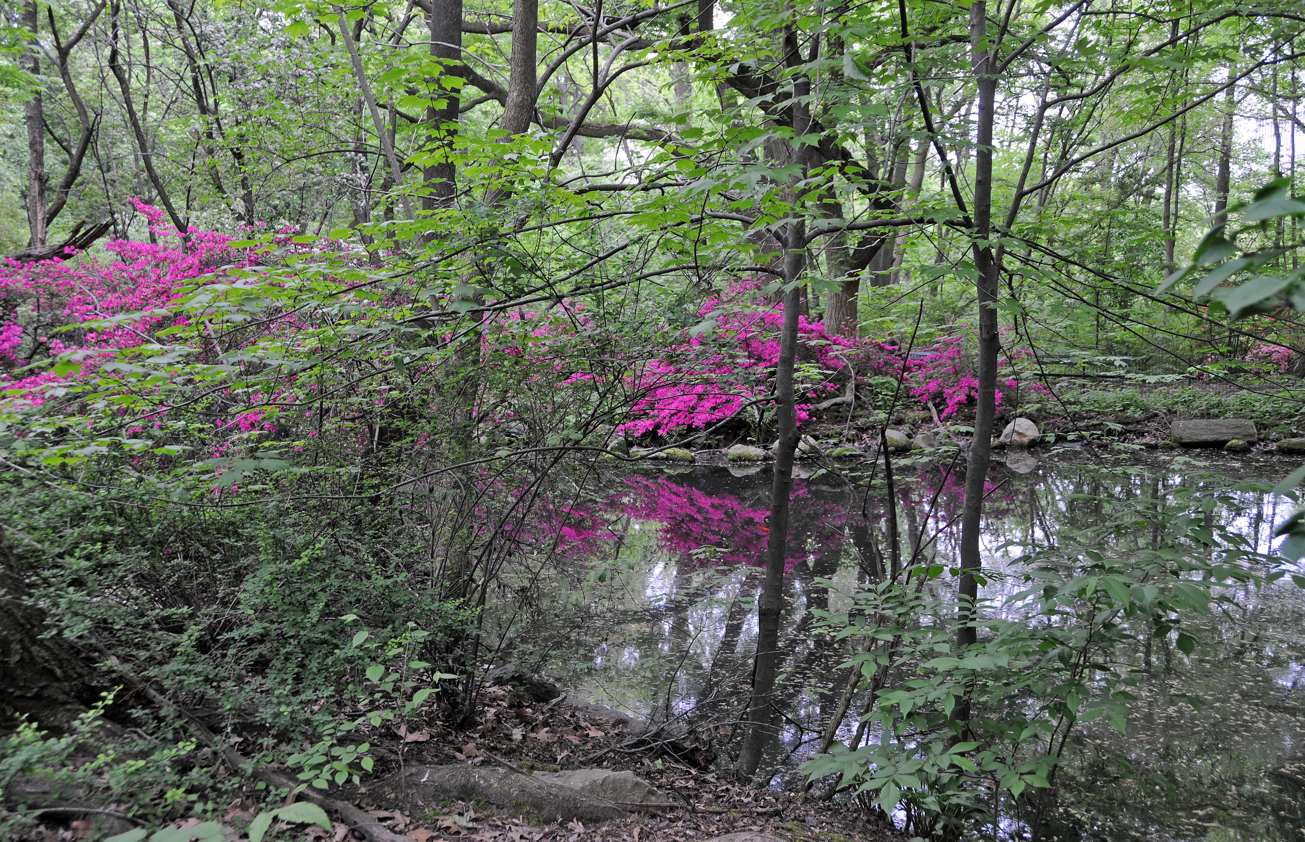DSC_8372.JPG