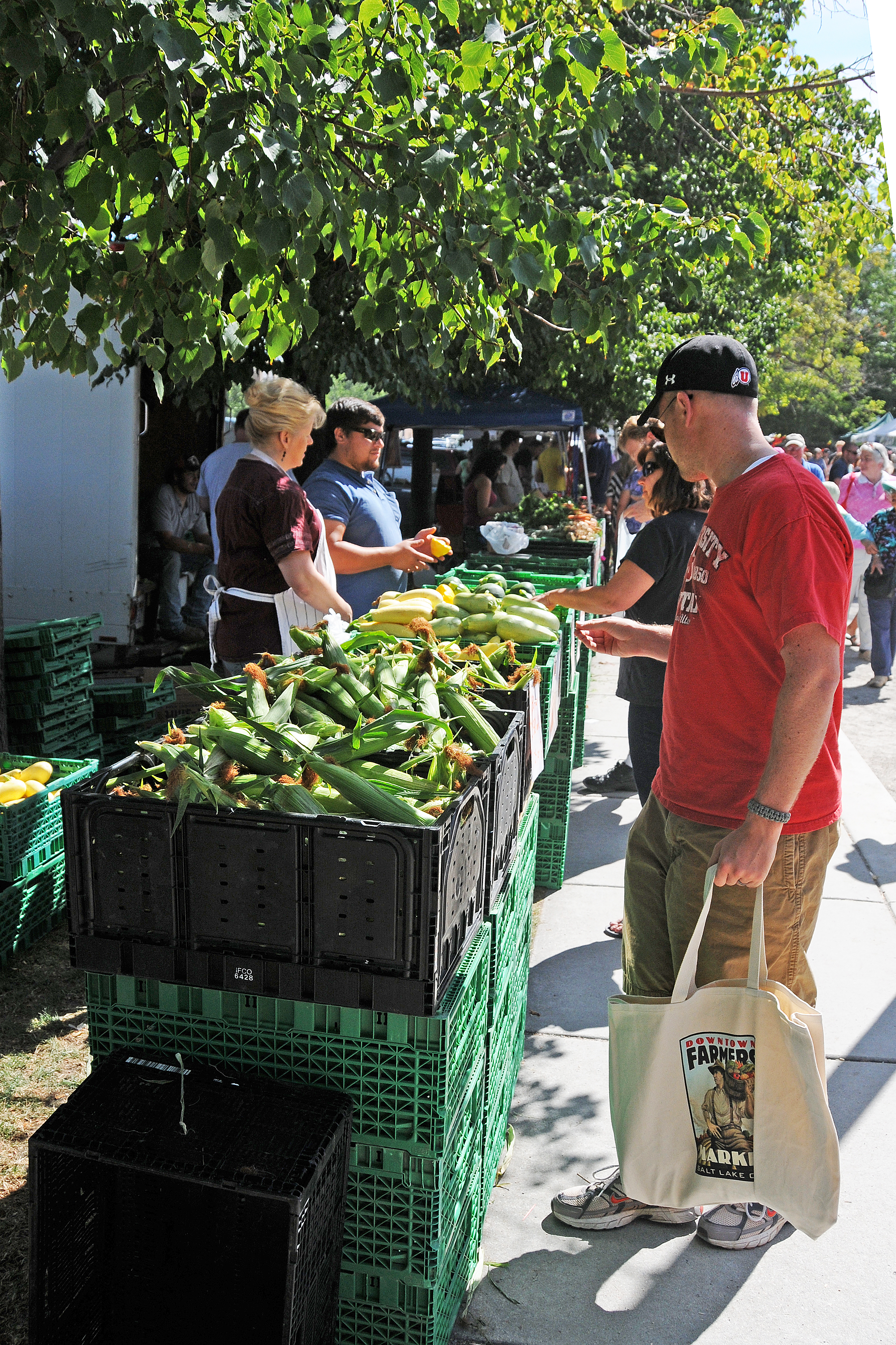 Farmers Market & Pioneer Park Area