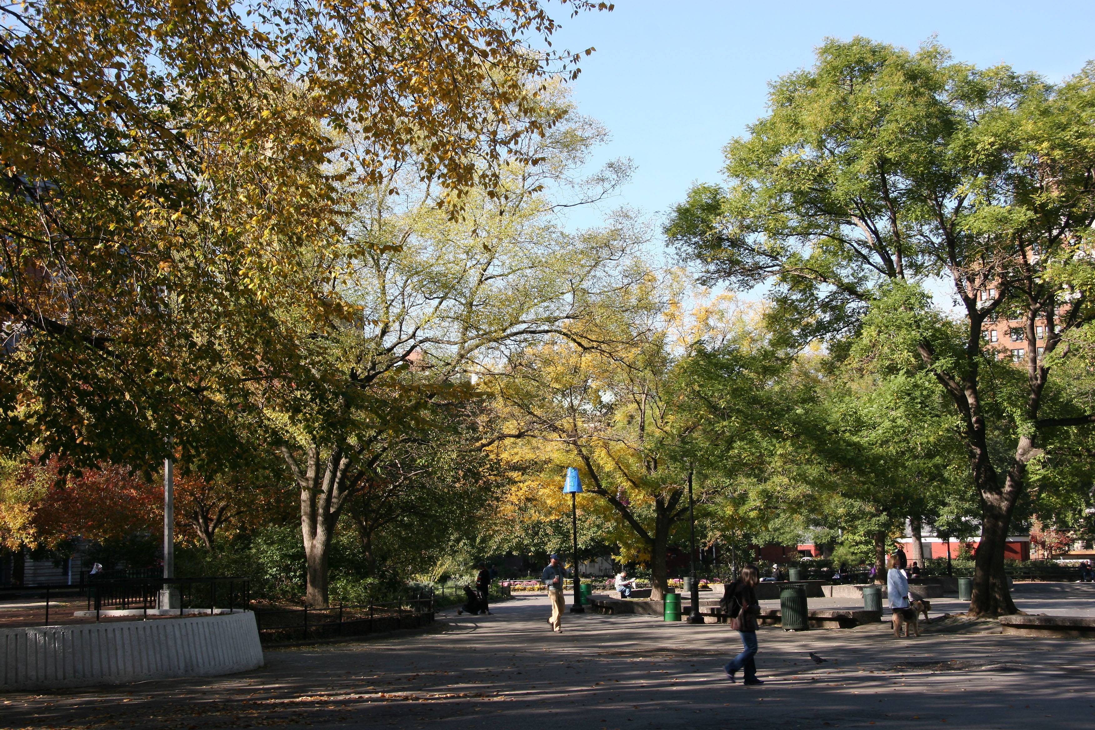 Southwest View