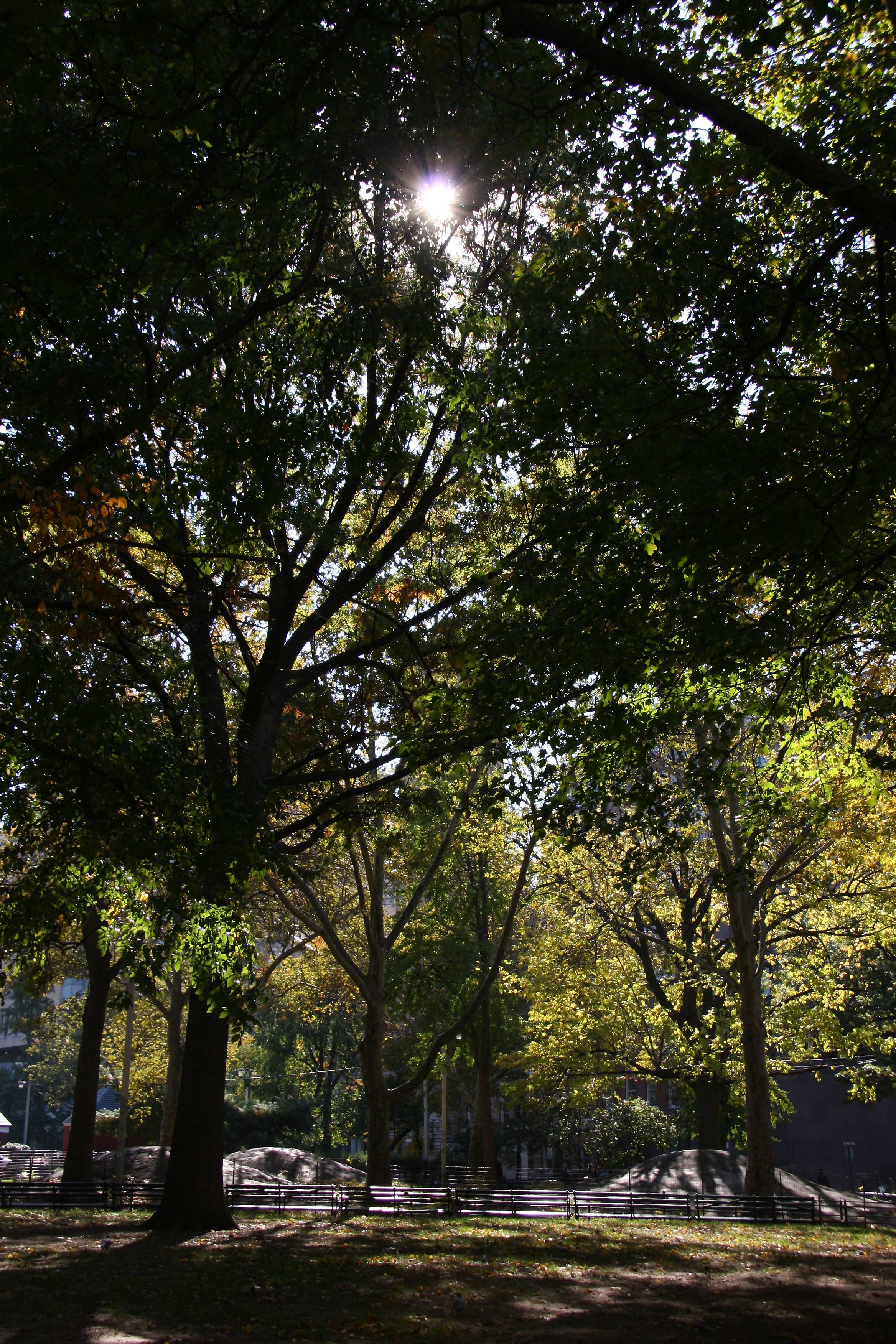 Southeast View Toward Sullivan Street