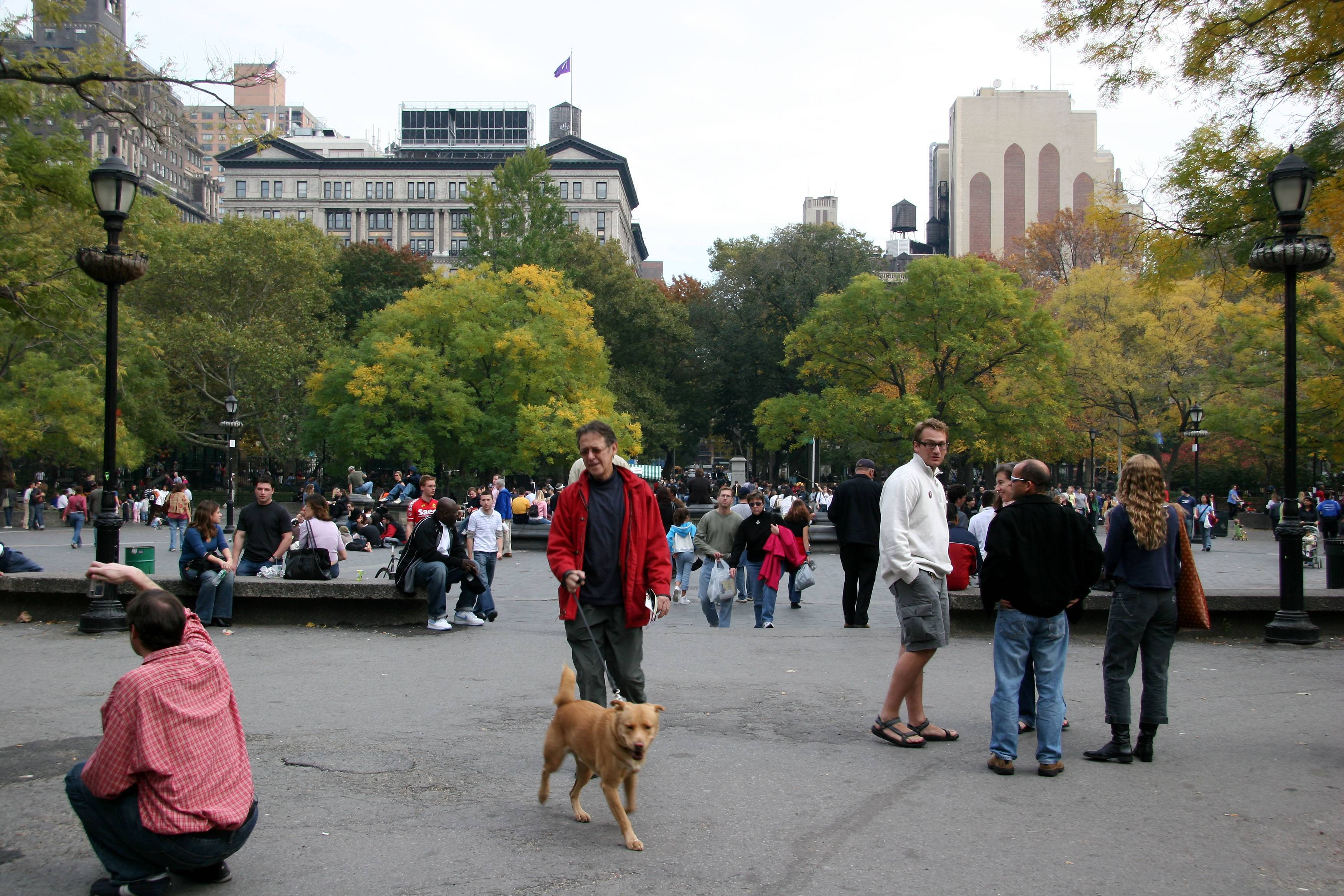 East View - NYU Buildings