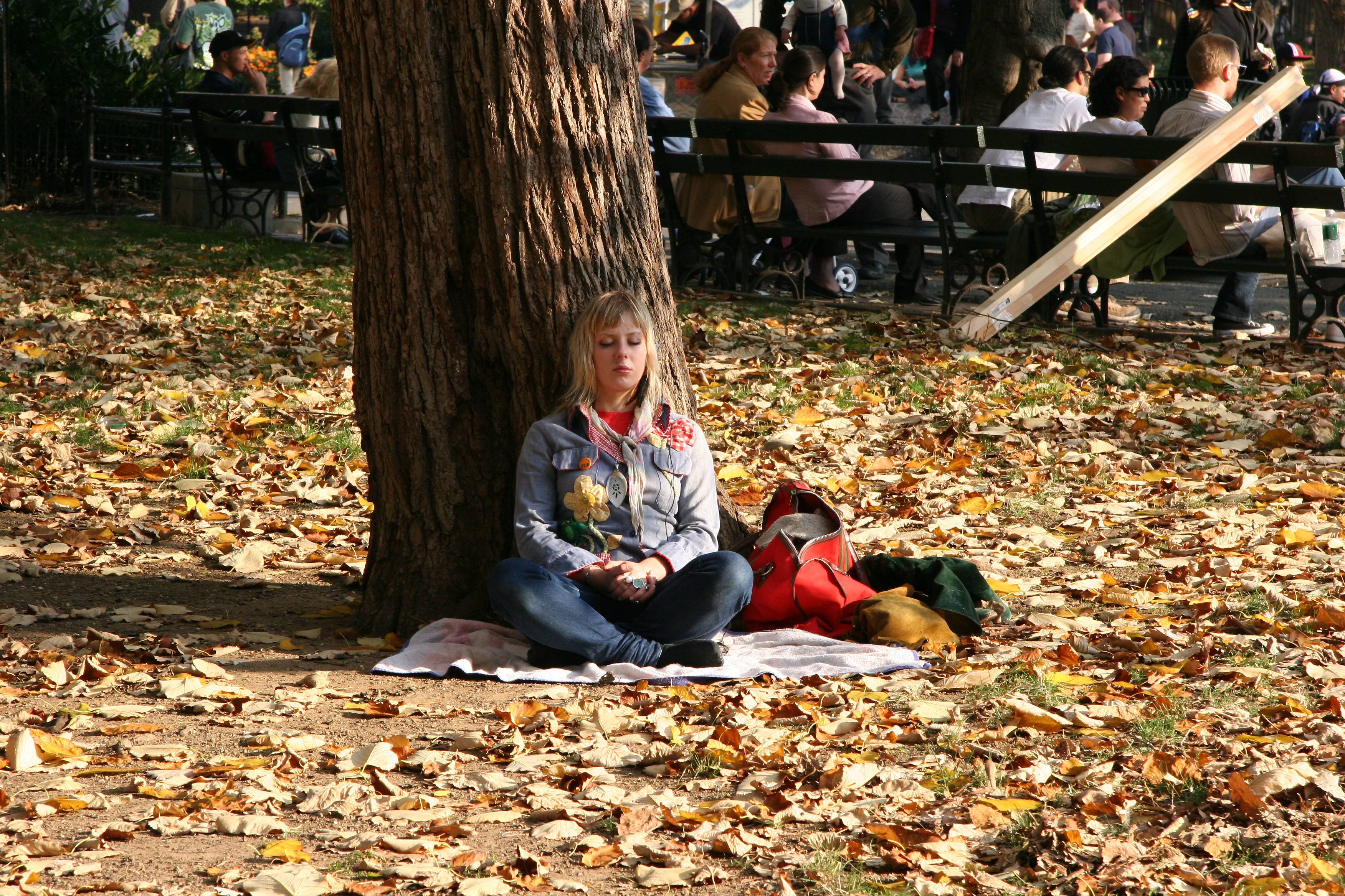 Meditating Under an Elm Tree