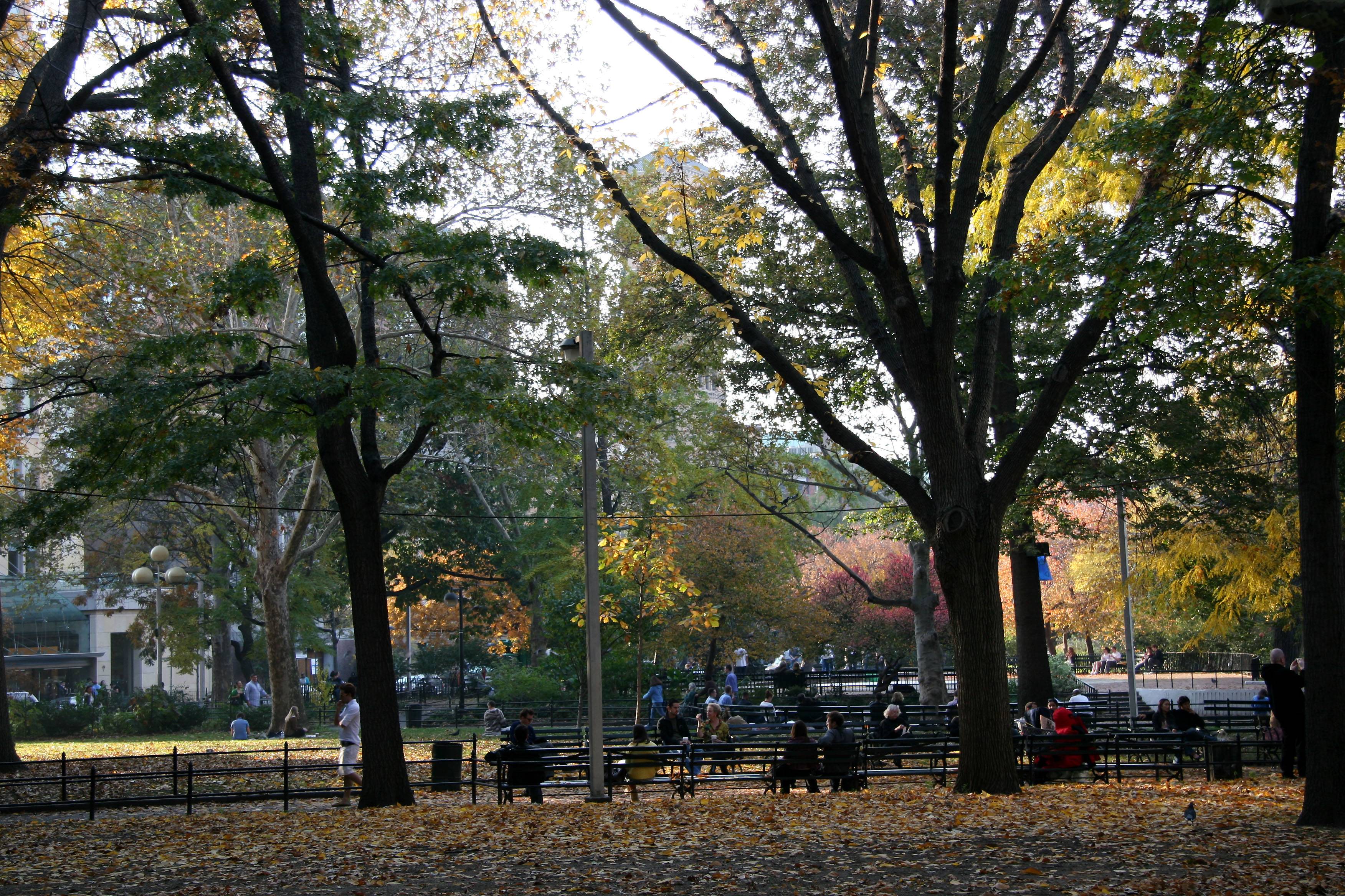 Fall Scene
