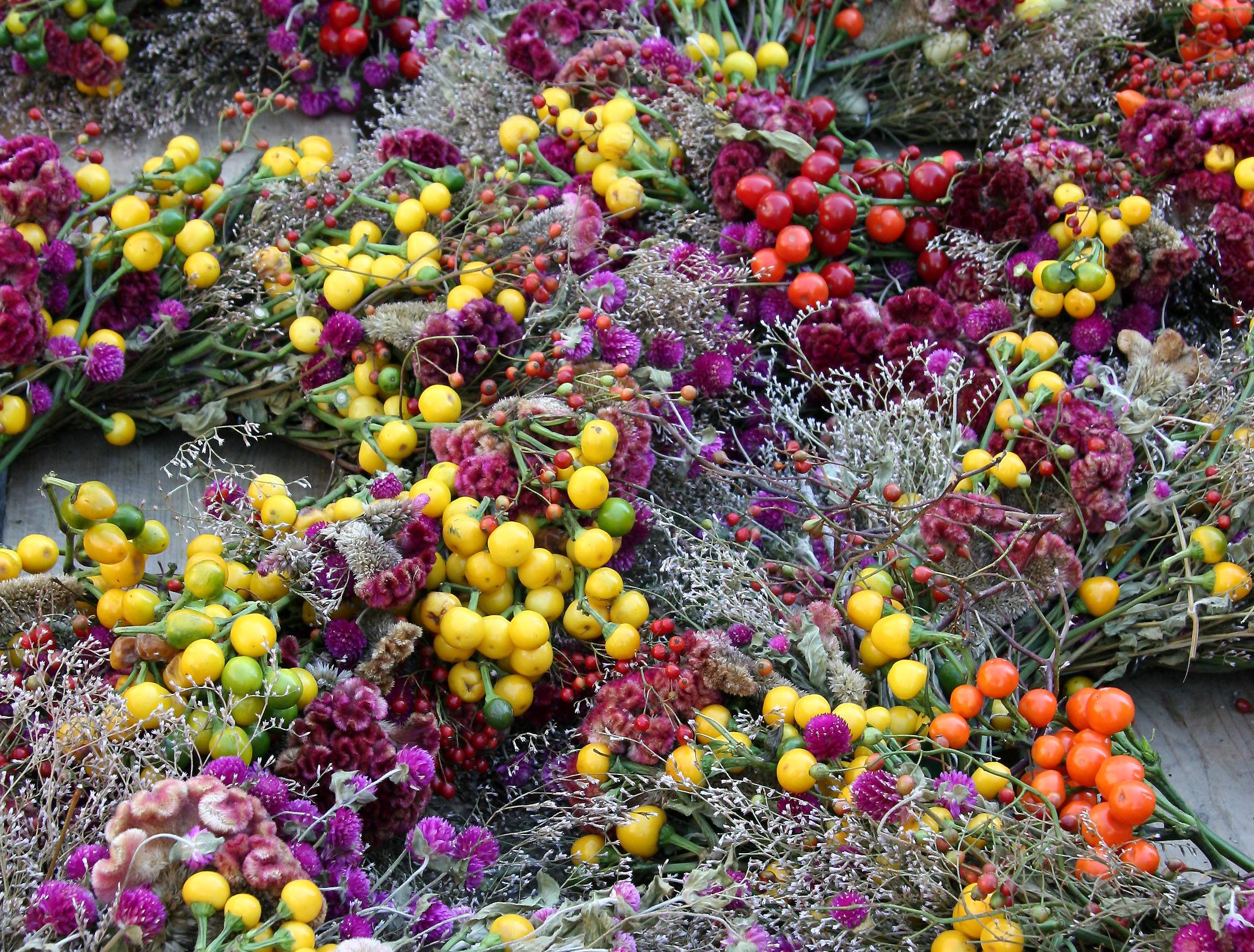 Holiday Wreathes