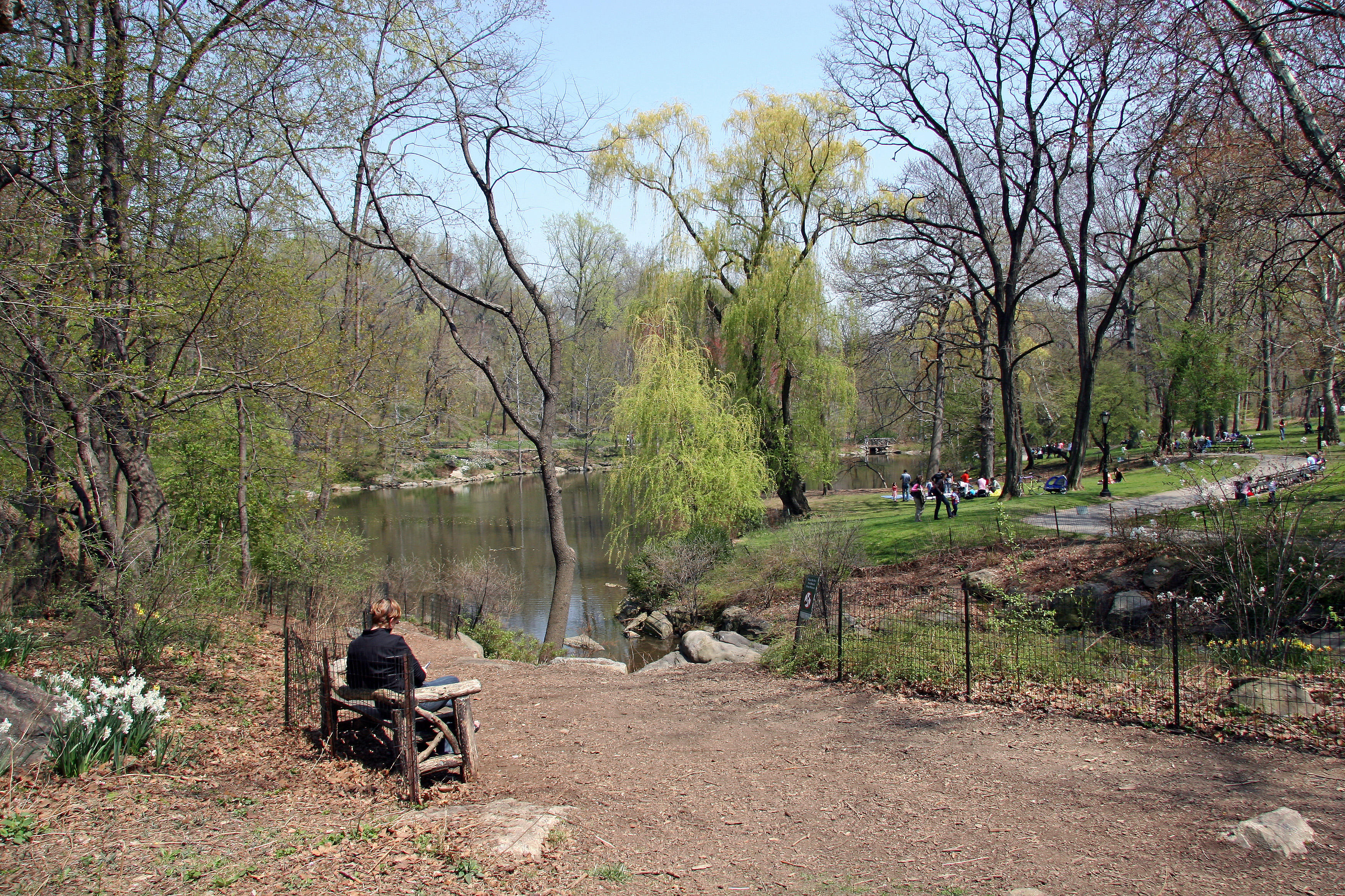 North Pool Area