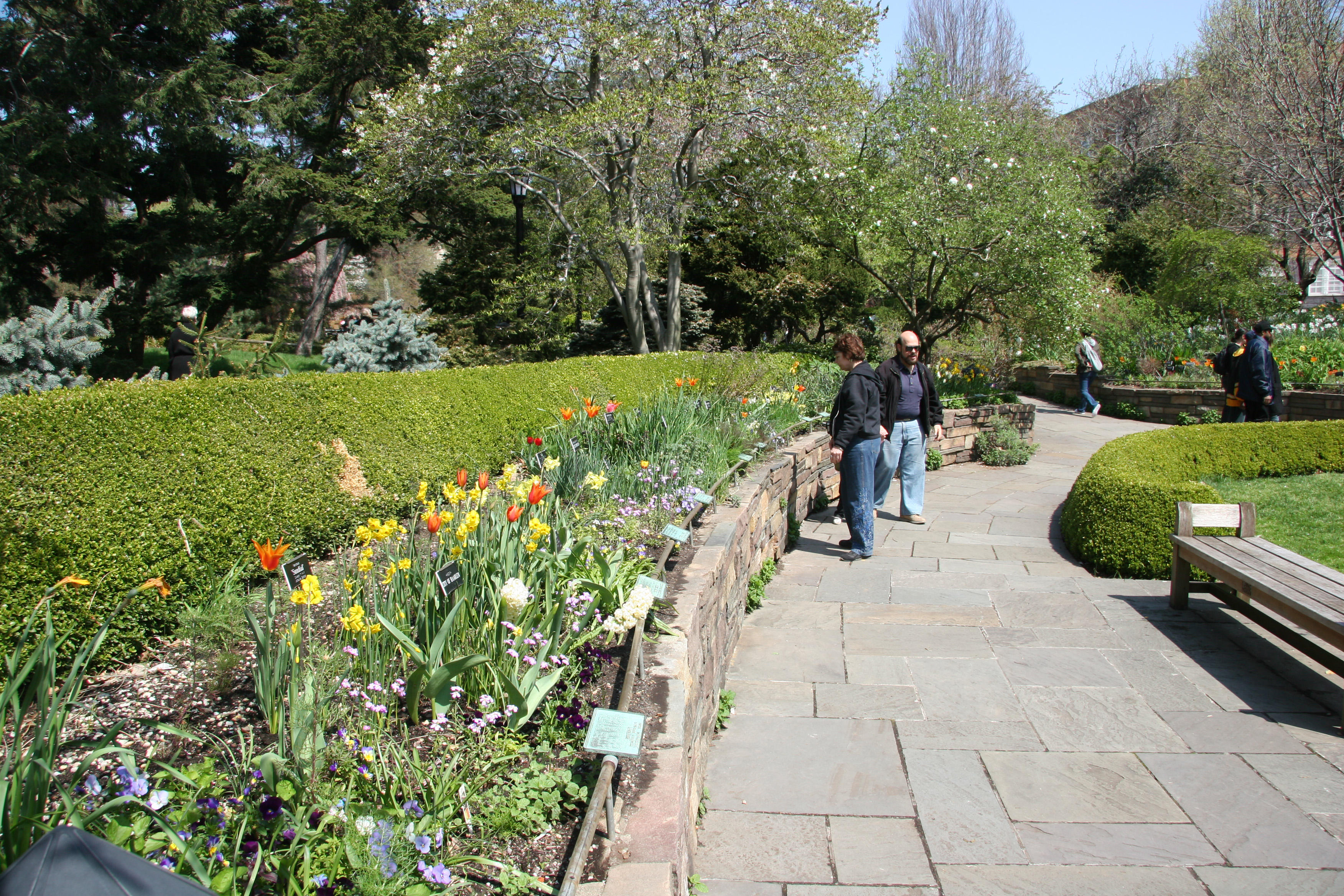 Scent Garden