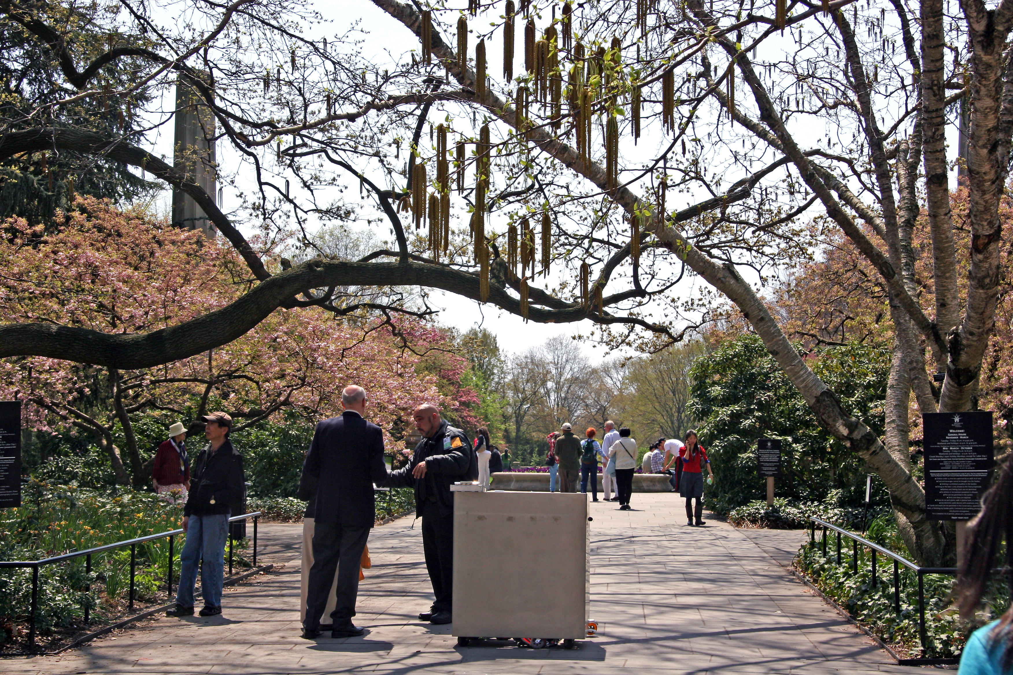 Entrance Garden View