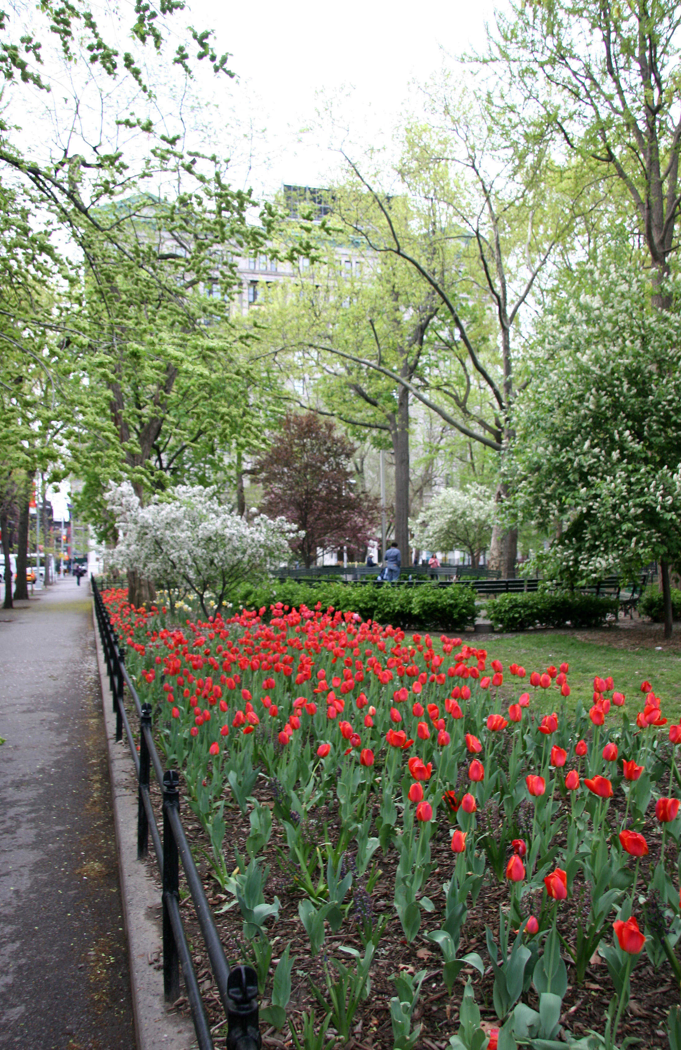 WSN Garden View