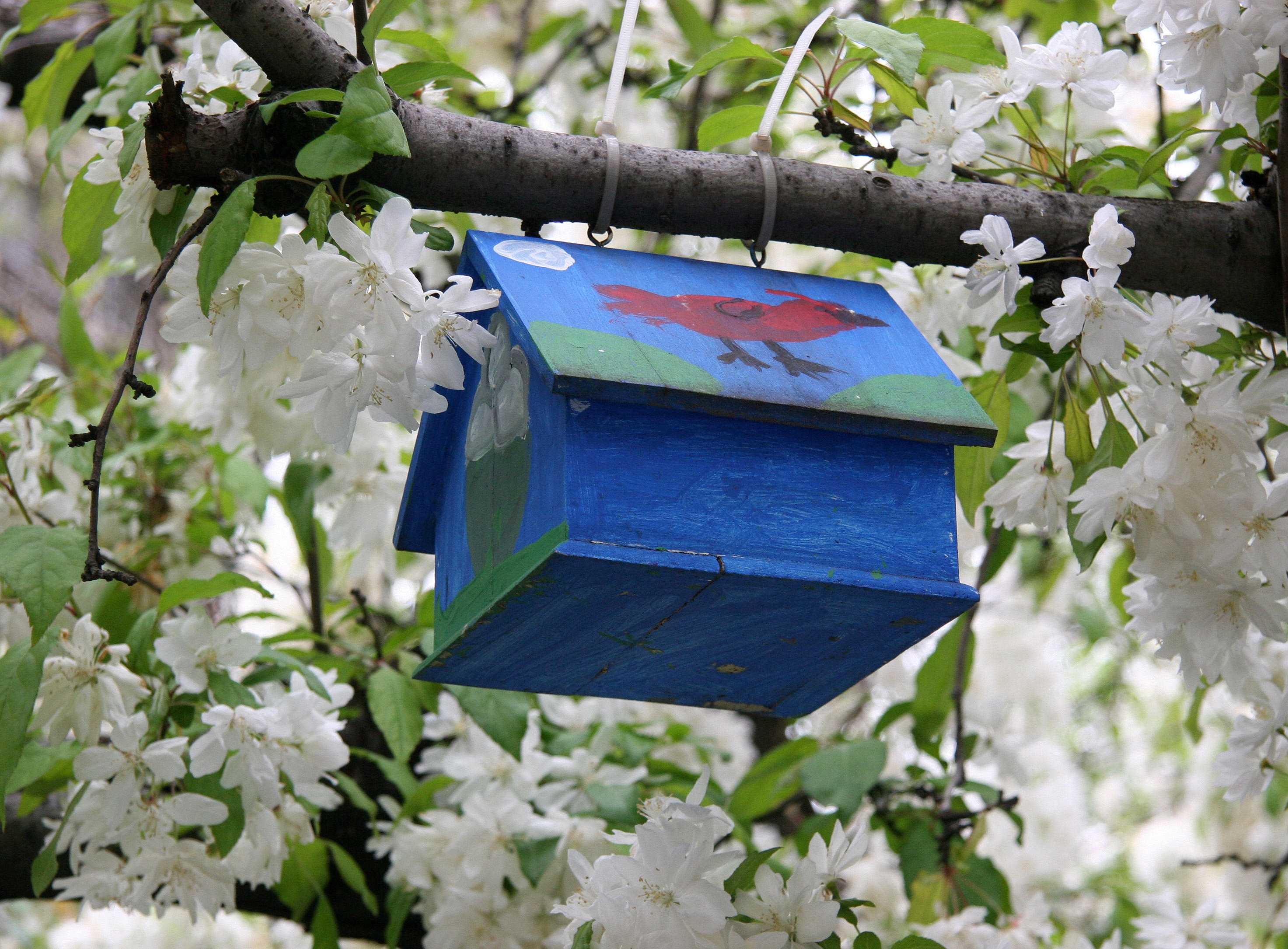Blue Birdhouse in an Apple Tree