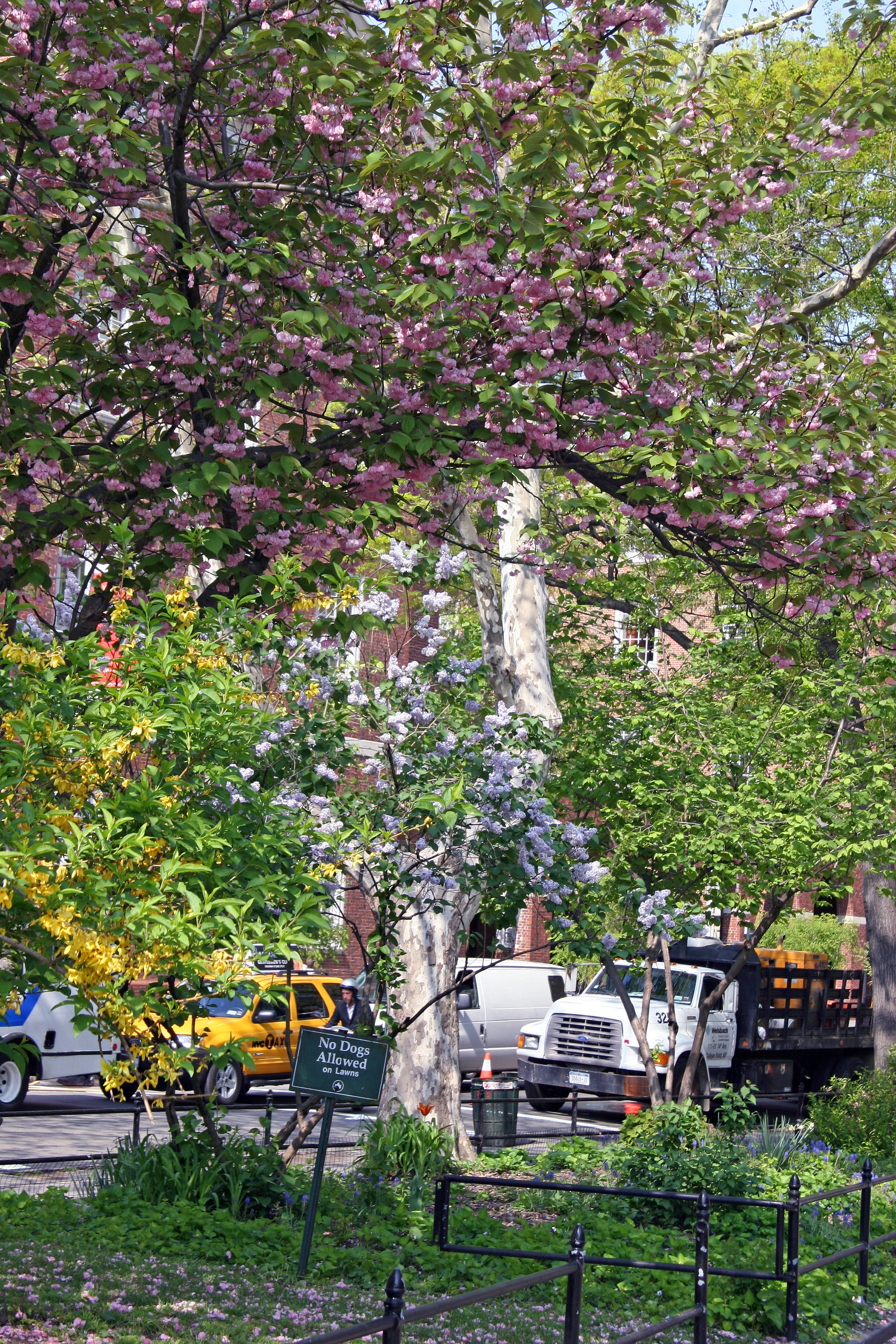 Park View - West Perspective