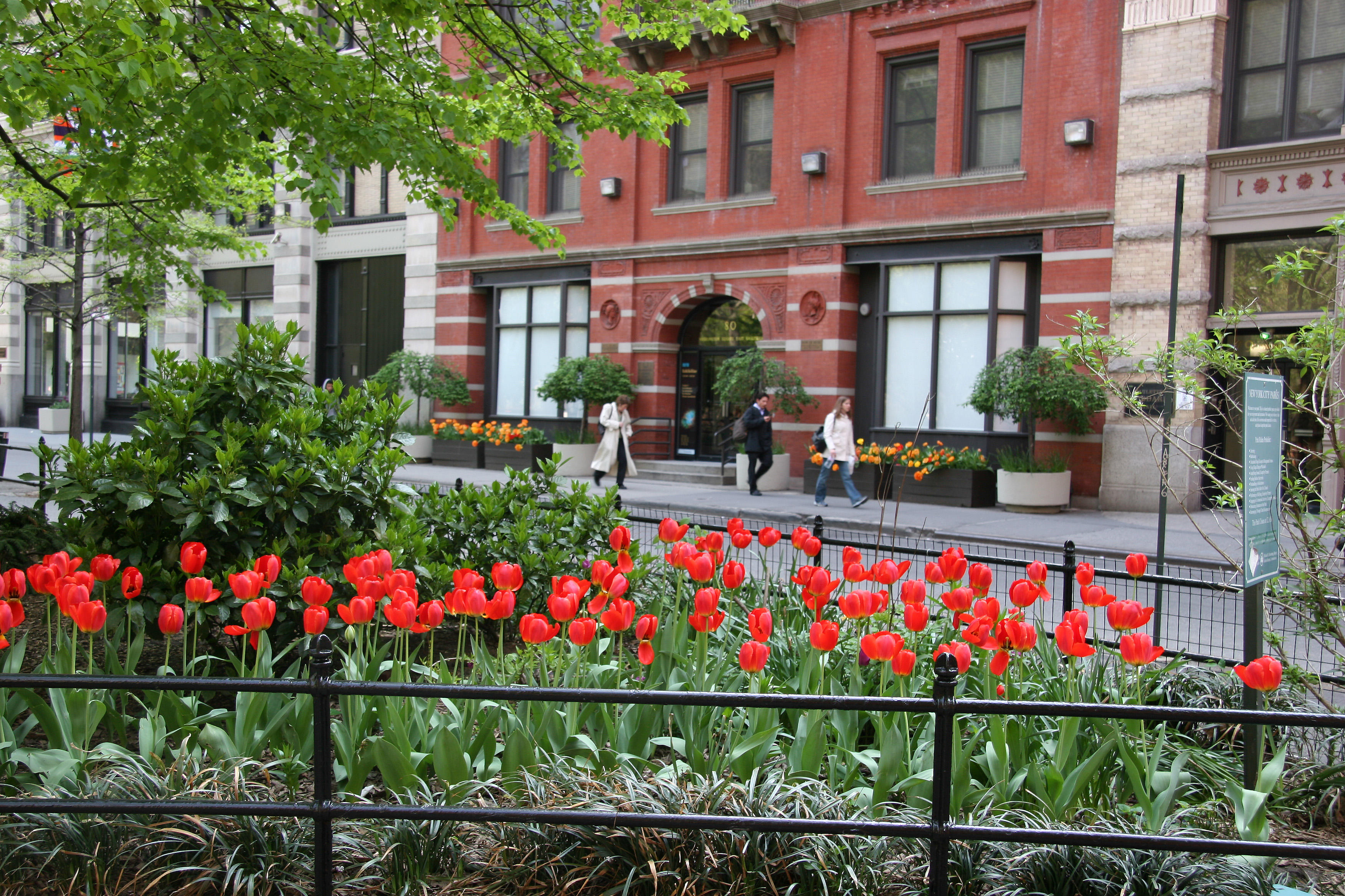 Washington Square East NYU Galleries from WSS