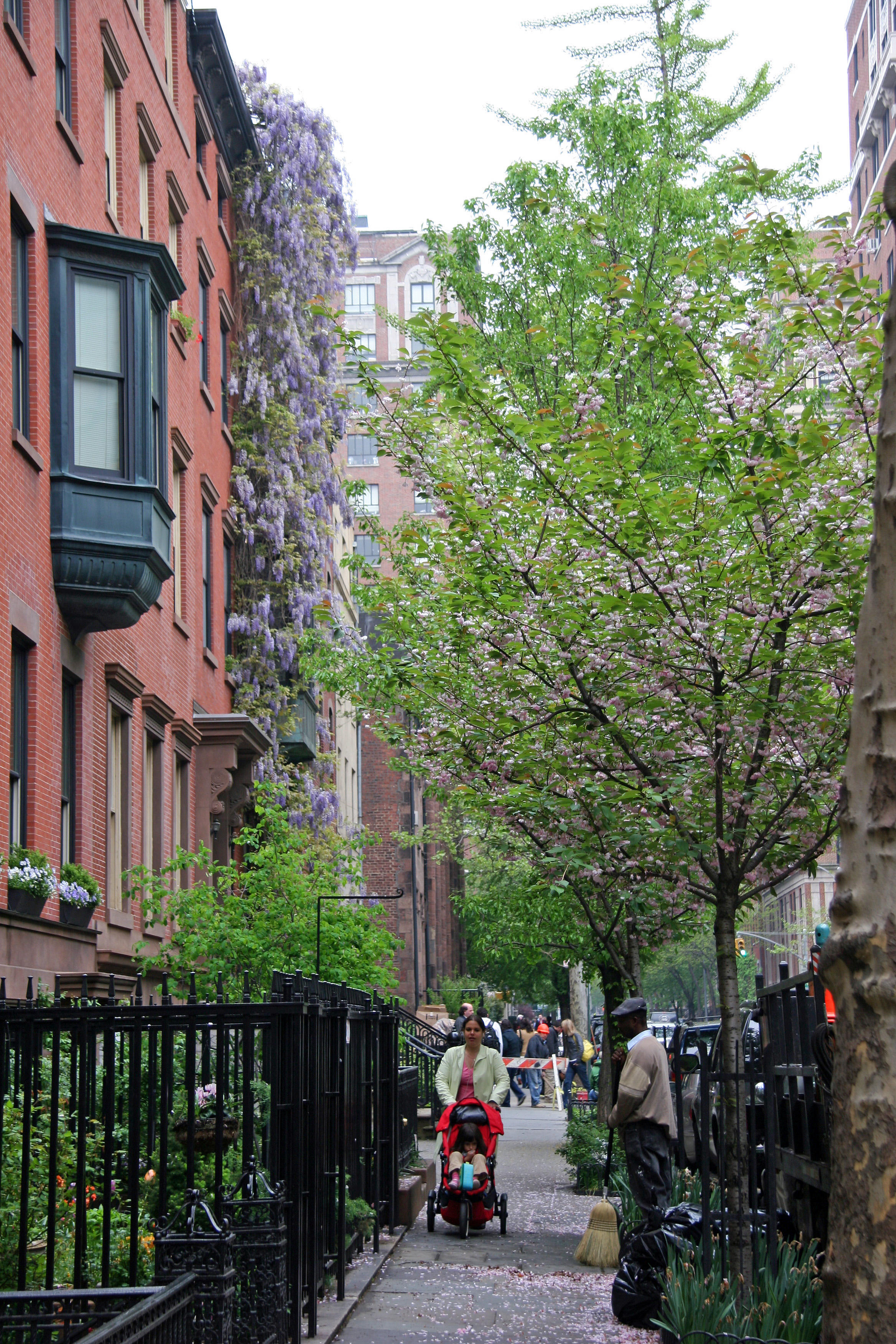 Street Scene